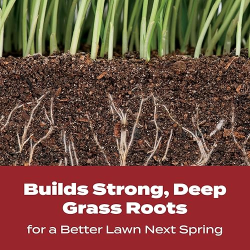 Scotts Turf Builder WinterGuard Fall Lawn Fertilizer for All Grass Types, 5,000 sq. ft., 12.5 lbs.(4-000 sq. ft.)