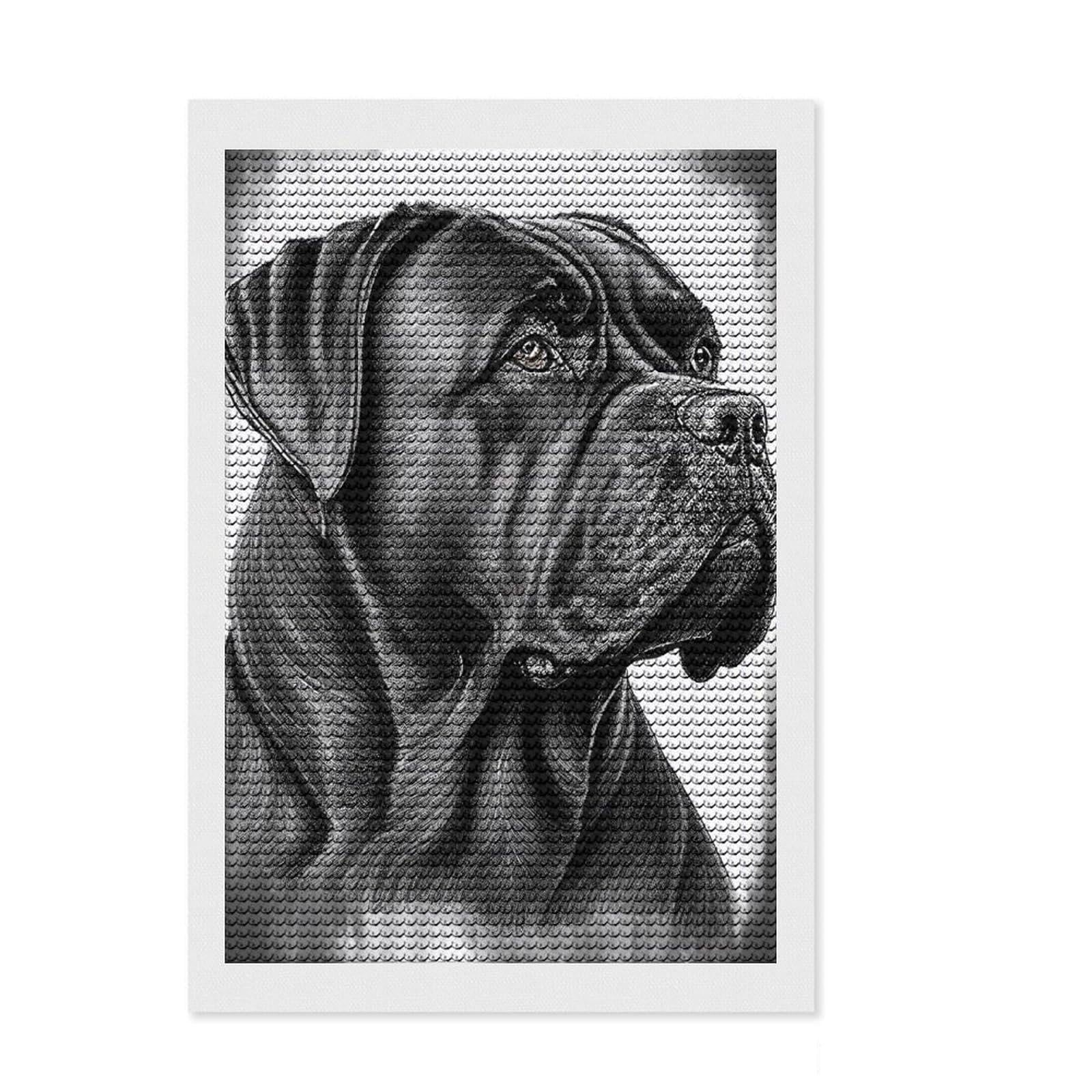 Junmoney Cane Corso Drawing Diamond Painting Kit 8"x12", Vintage Style Decor, Christmas Gift, with Tool Kit, Home Wall Art, Boho Decor