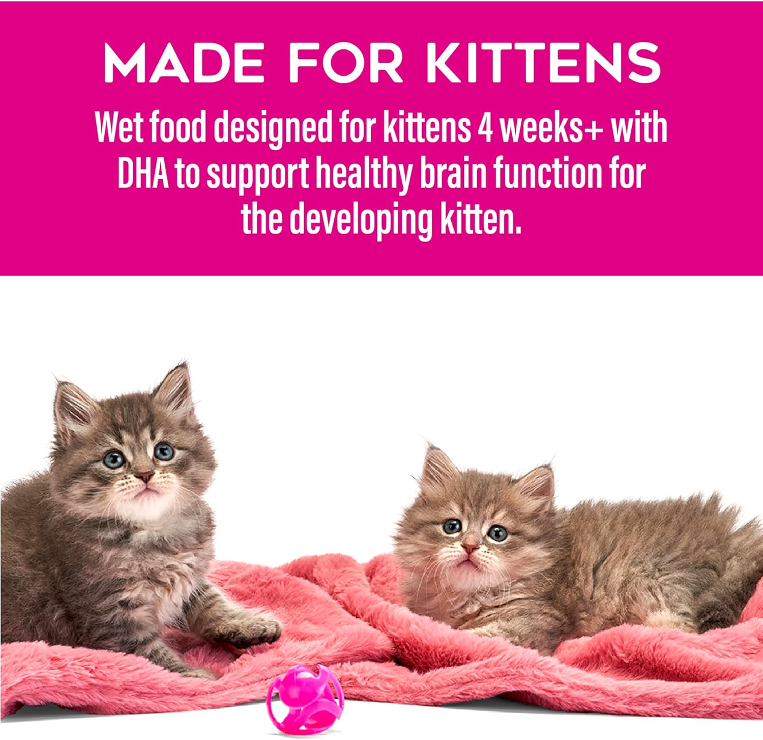 Tiki Cat Baby Pate Wet Cat Food for Kittens, Chicken, Tuna & Chicken Liver, 2.4 oz. Can (12 Count)