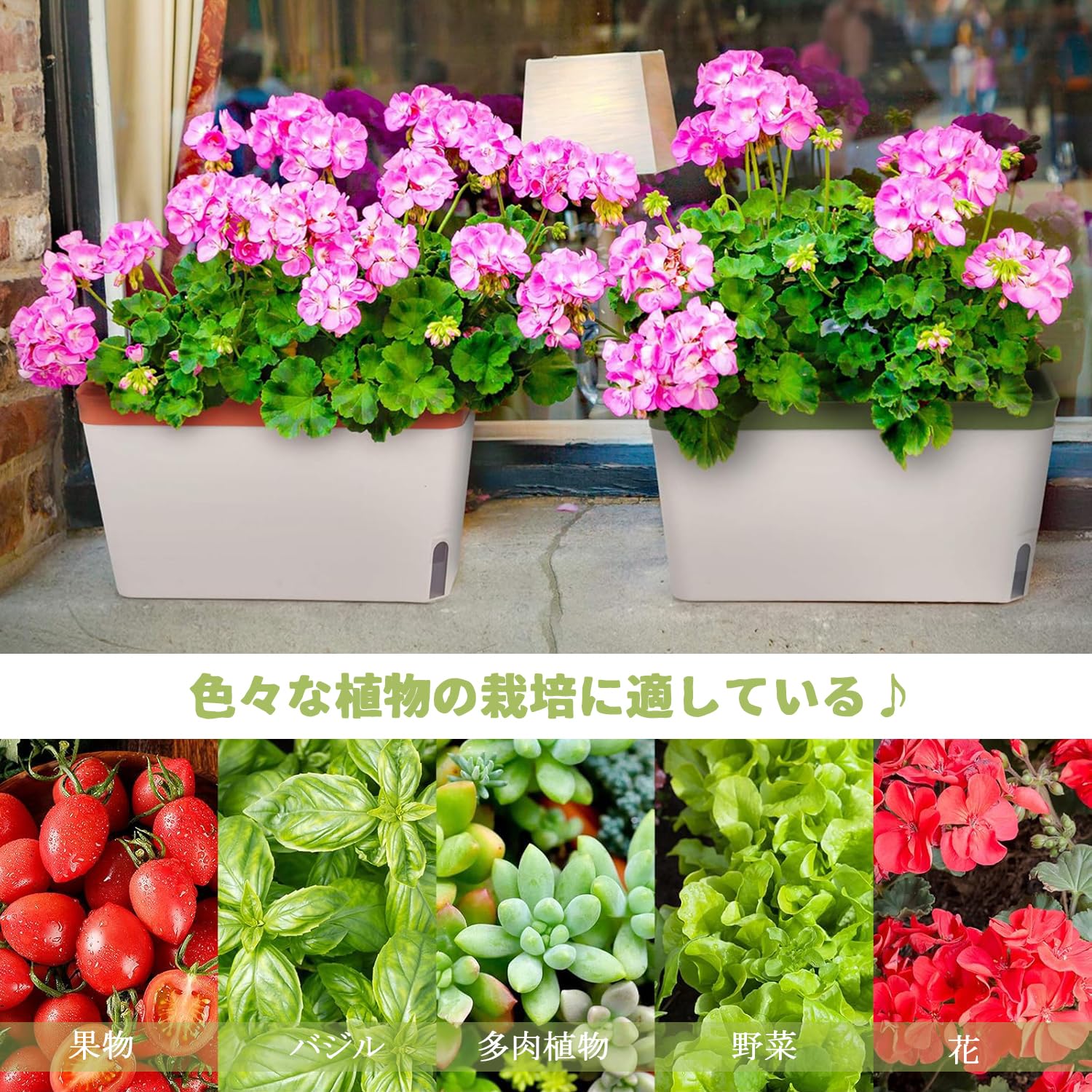 Amazon.co.jp: STATIN4 植木鉢 自動給水プランター 長方形 観葉植物鉢