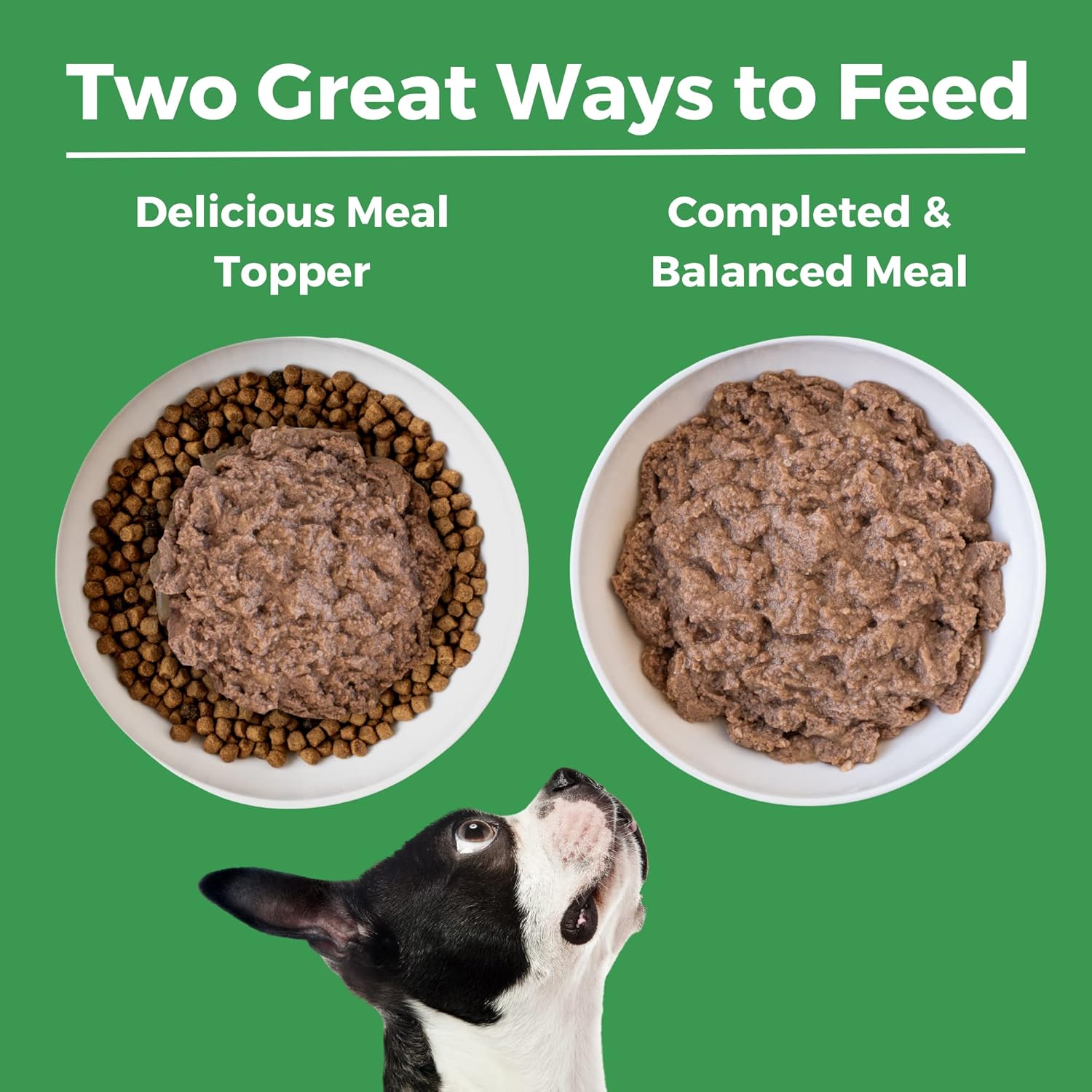 KOHA Limited Ingredient Diet Turkey Entrée for Dogs - Grain Free Wet Dog Food with No Fillers - Sensitive Stomach Canned Dog Food - 13 oz Pack of 12