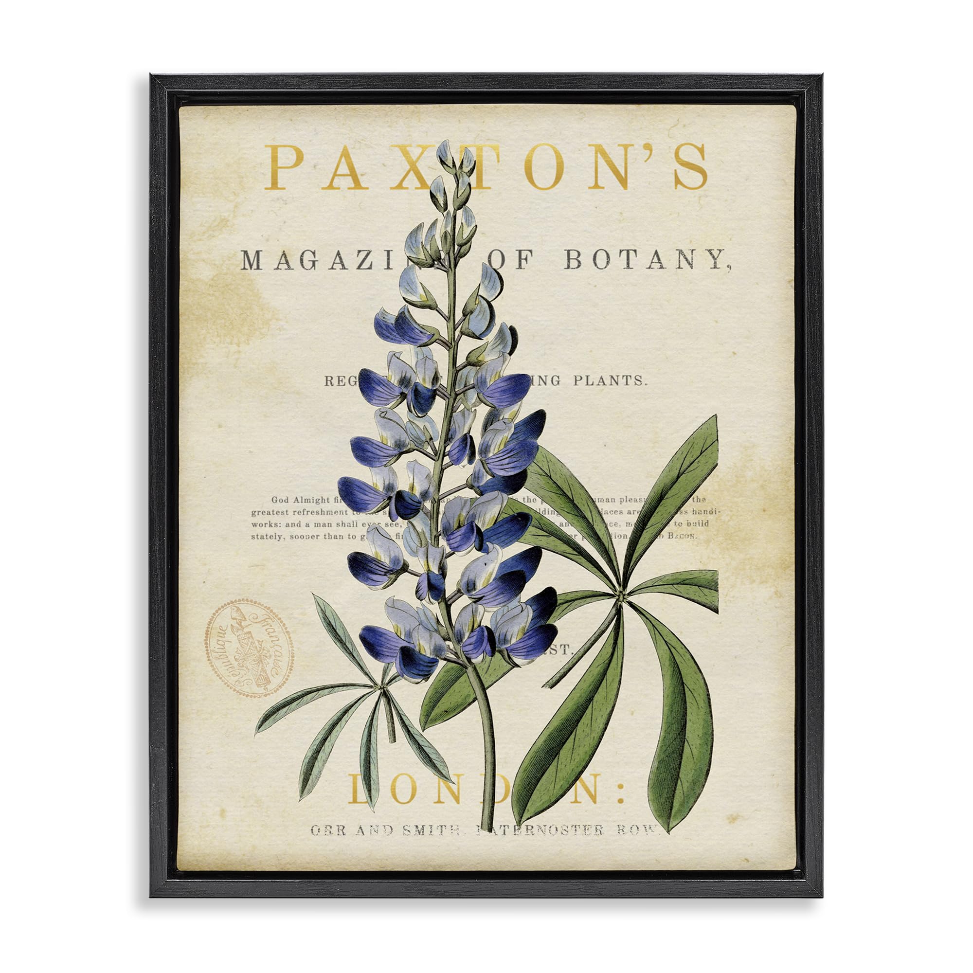 Stupell Industries Jet Black (Matte) 'Natural Botany Lupine'| Floating Frame Canvas Art