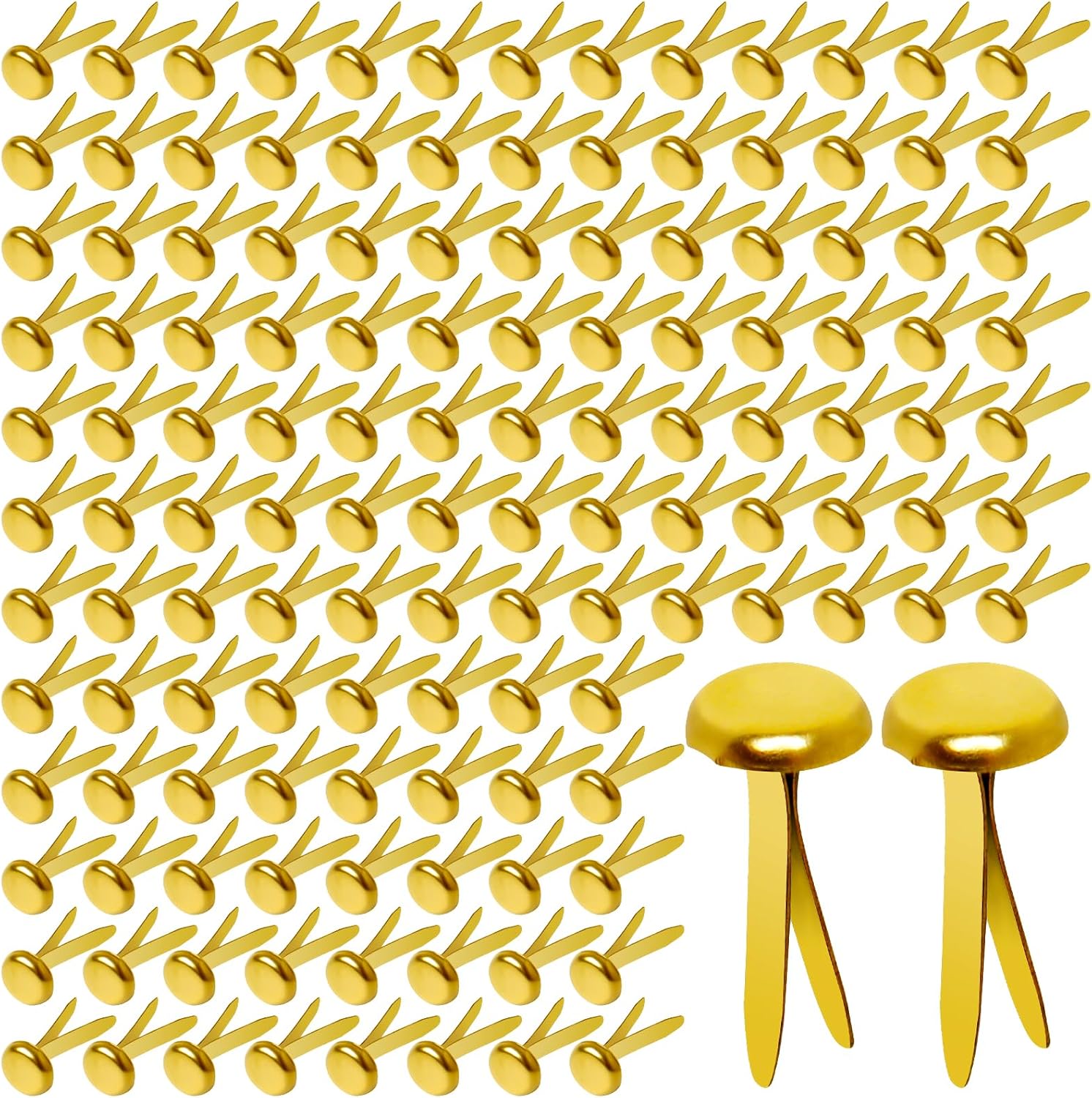 HAPY SHOP 300 Pack 3/4-Inch Brass Paper Fasteners - Durable Round Metal Brads for Scrapbooking, Card Making & DIY Crafts
