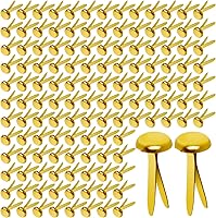 HAPY SHOP 300 Pack 3/4-Inch Brass Paper Fasteners - Durable Round Metal Brads for Scrapbooking, Card Making & DIY Crafts