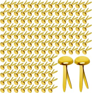 HAPY SHOP 300 Pack 3/4-Inch Brass Paper Fasteners - Durable Round Metal Brads for Scrapbooking, Card Making & DIY Crafts