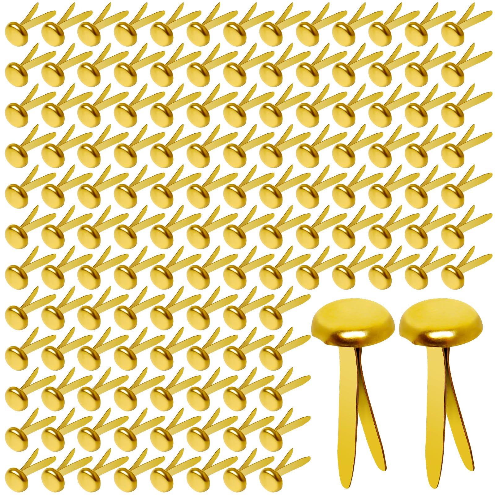 Hapy Shop Paper Brass Fasteners, 3/4-Inch Metal Brass Brads Round Brads for Paper Crafts Making DIY, 300 Pack