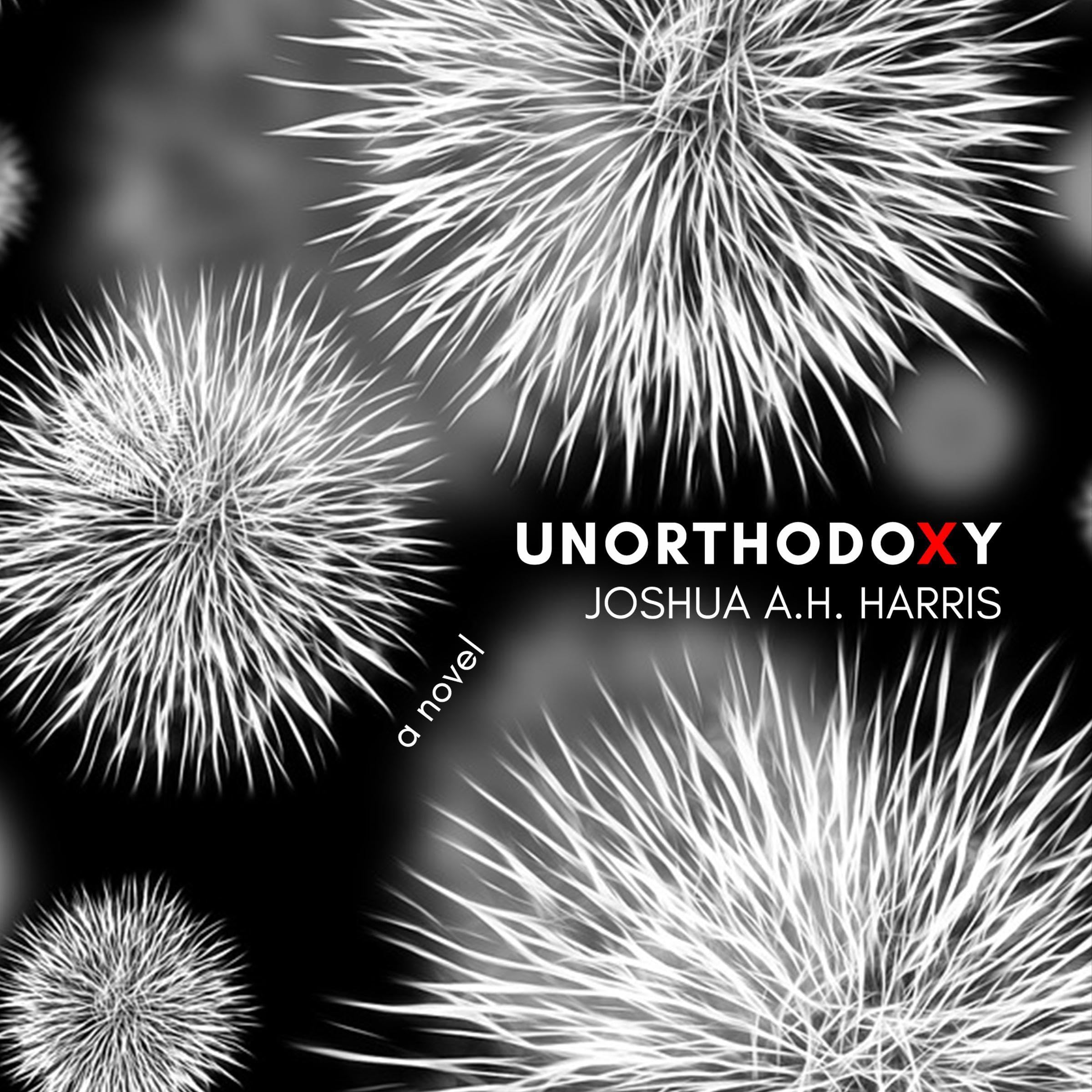 Unorthodoxy