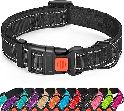 Soft Neoprene Padded Dog Collar + 5ft dog leash