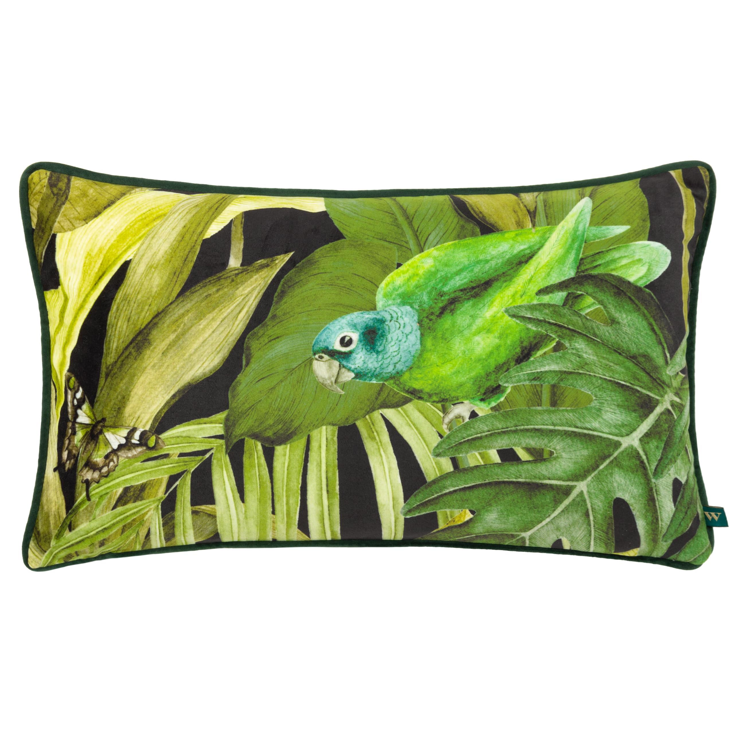 Wylder Psitta Tropical Velvet Piped Polyester Filled Cushion from B&Q