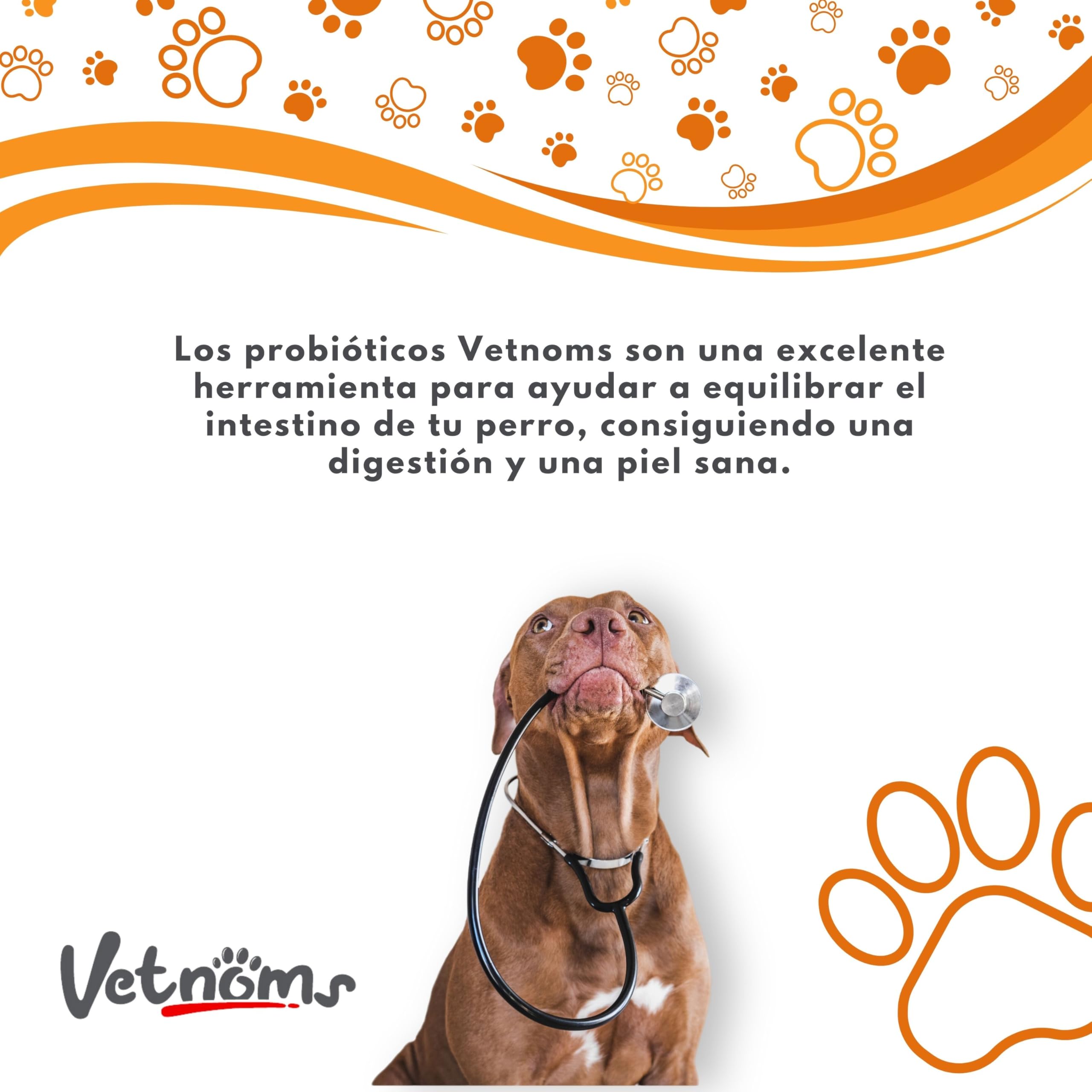 Probioticos Perros en Polvo - Probióticos para Perros Uso Diario. Alivia Diarrea, Dermatitis Perro, Alergias, Pelaje Sano. Antiinflamatorio Gastrointestinal para Canes.