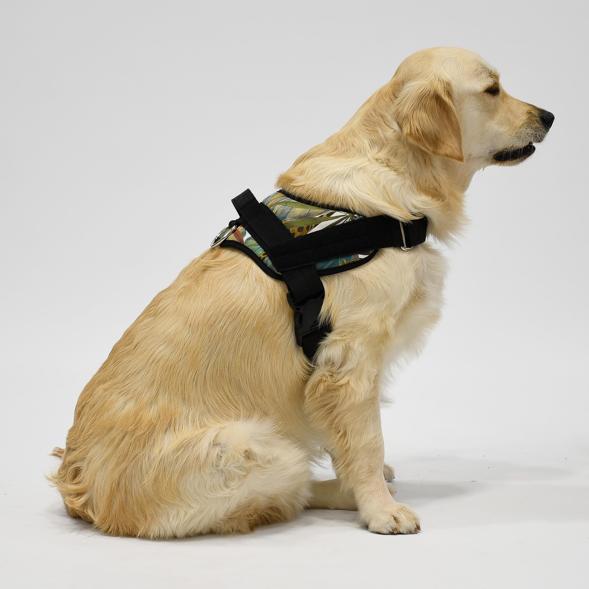 Jyoko Pets Arnés para Perro – Ajustable, Ergonómico y con Asa de Control (Safari, XL)