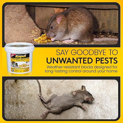 Miniatura 5 de Kaput Minibloques de cebo combinado, cebo para roedores para ratones y ratas, mata ratones de campañol de warfarina para uso en interiores y