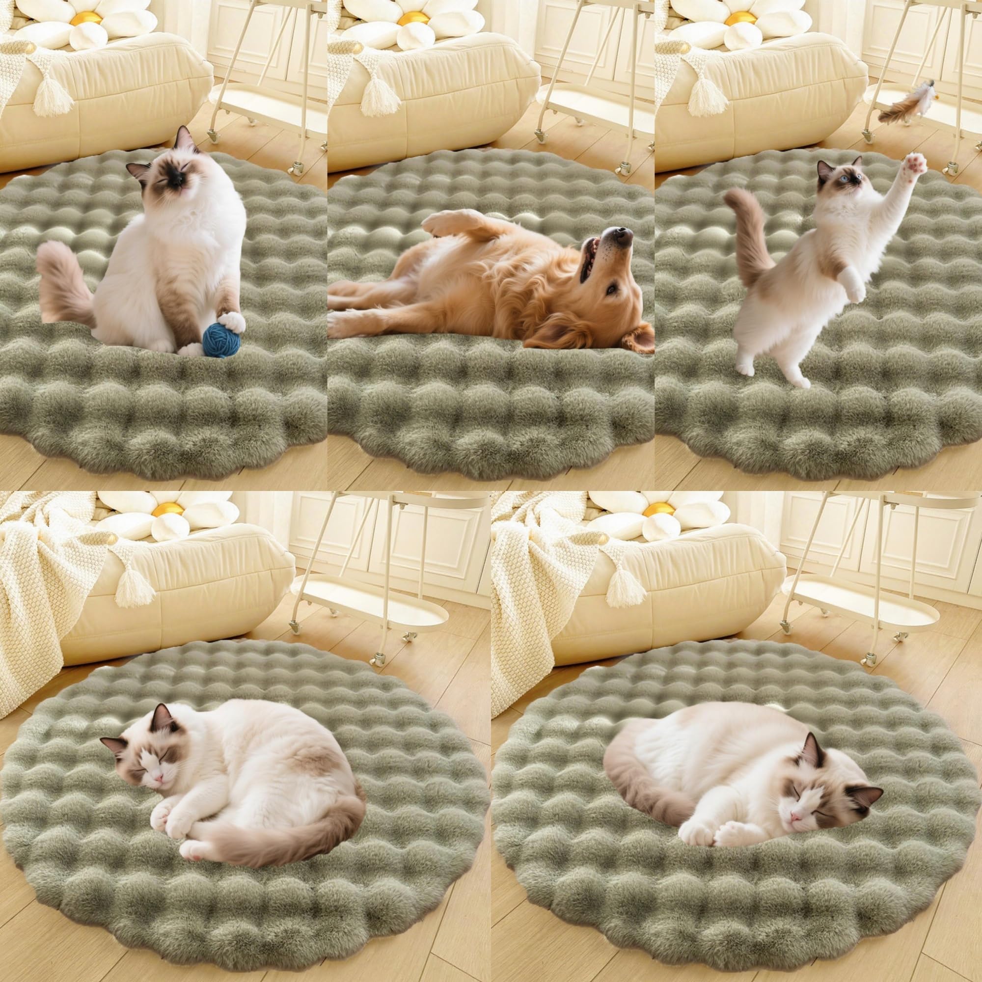 Divano per Cani E Gatti Con Fondo Antiscivolo, Tappeto Rotondo Lavabile, Moderno Letto A Pelo Lungo Da Posizionare Accanto Al Pavimento, Tappetino per Soggiorno(Green,47in)