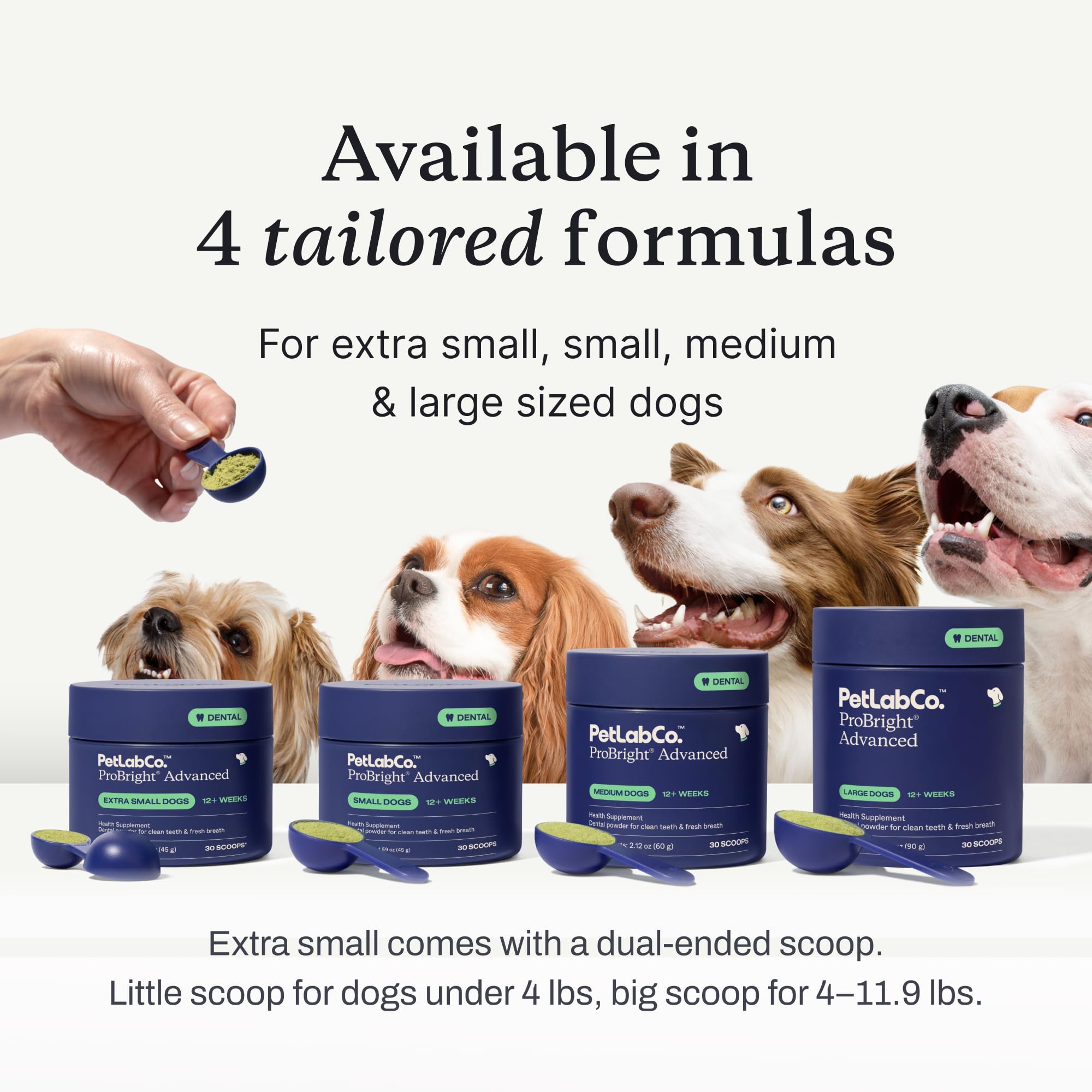 PetLab Co. ProBright Advanced Dental Powder - Dog Breath Freshener - Teeth Cleaning Made Easy – Targets Tartar & Bad Breath - Packaging May Vary - Formulated for Extra Small Dogs - image 6