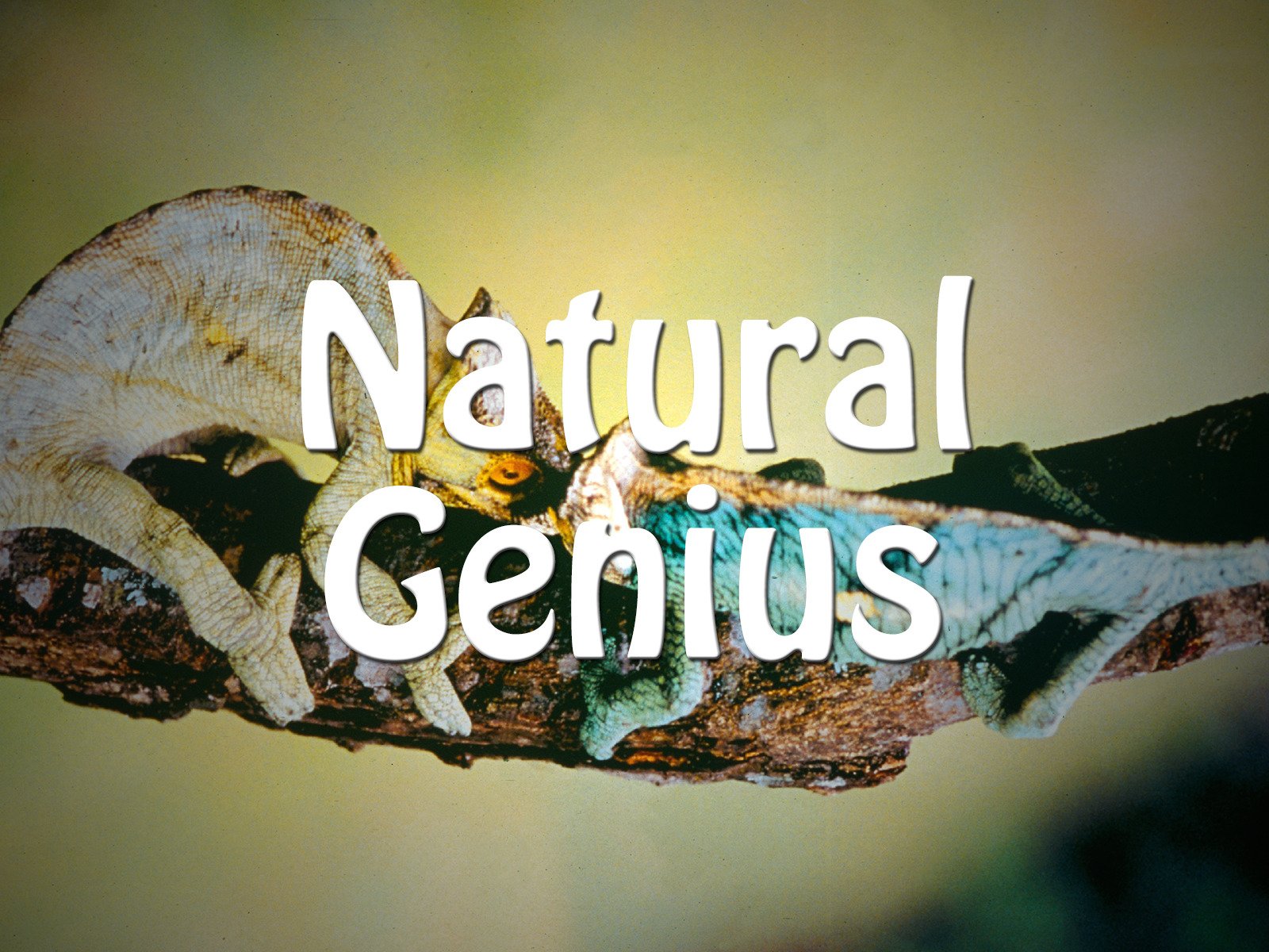 Watch Natural Genius Prime Video