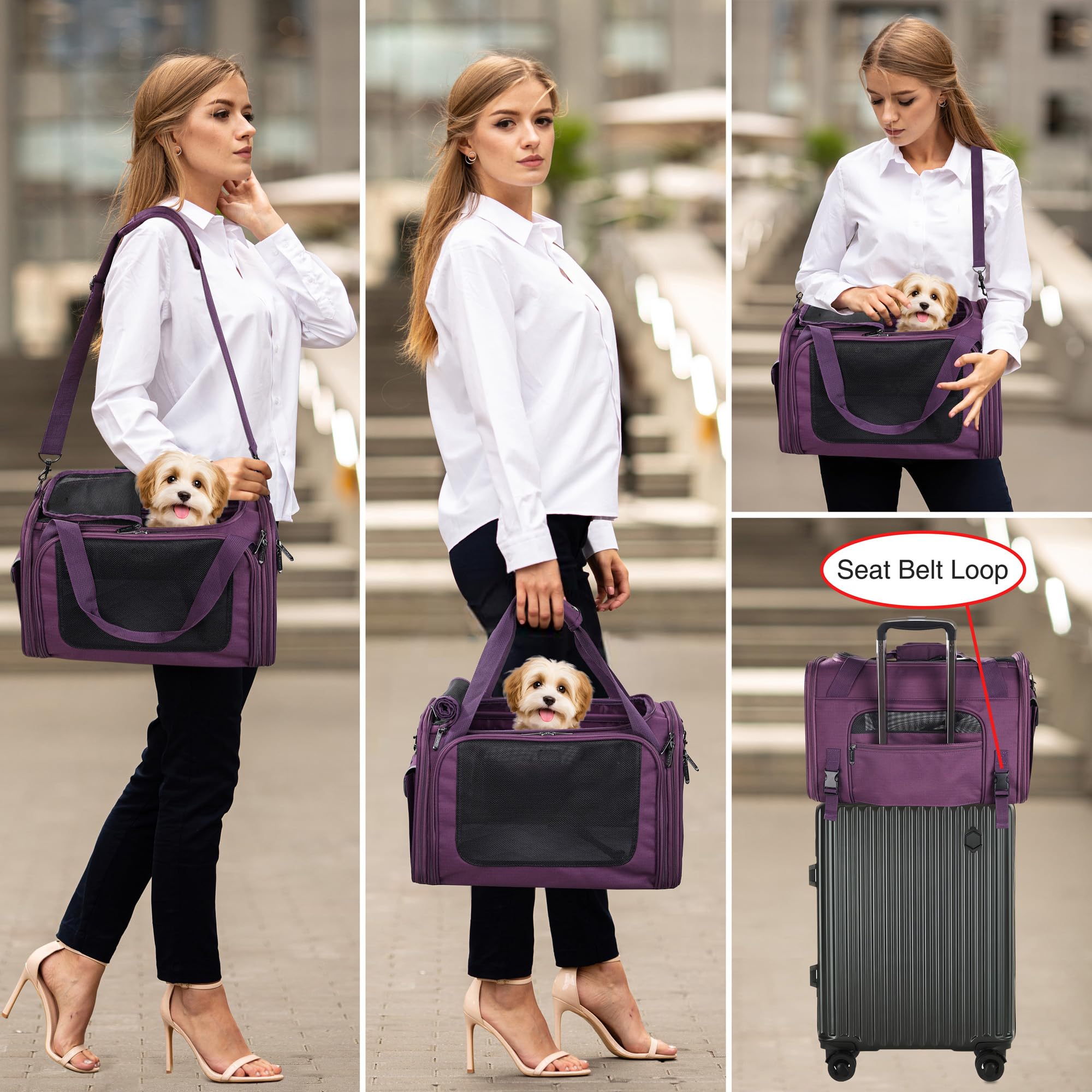 EliteField Deluxe Soft-Sided Pet Carrier (3 Year Warranty, Airline Approved), Travel Bag for Dogs, Cats & Small Pets, with Expandable Mat - image 3