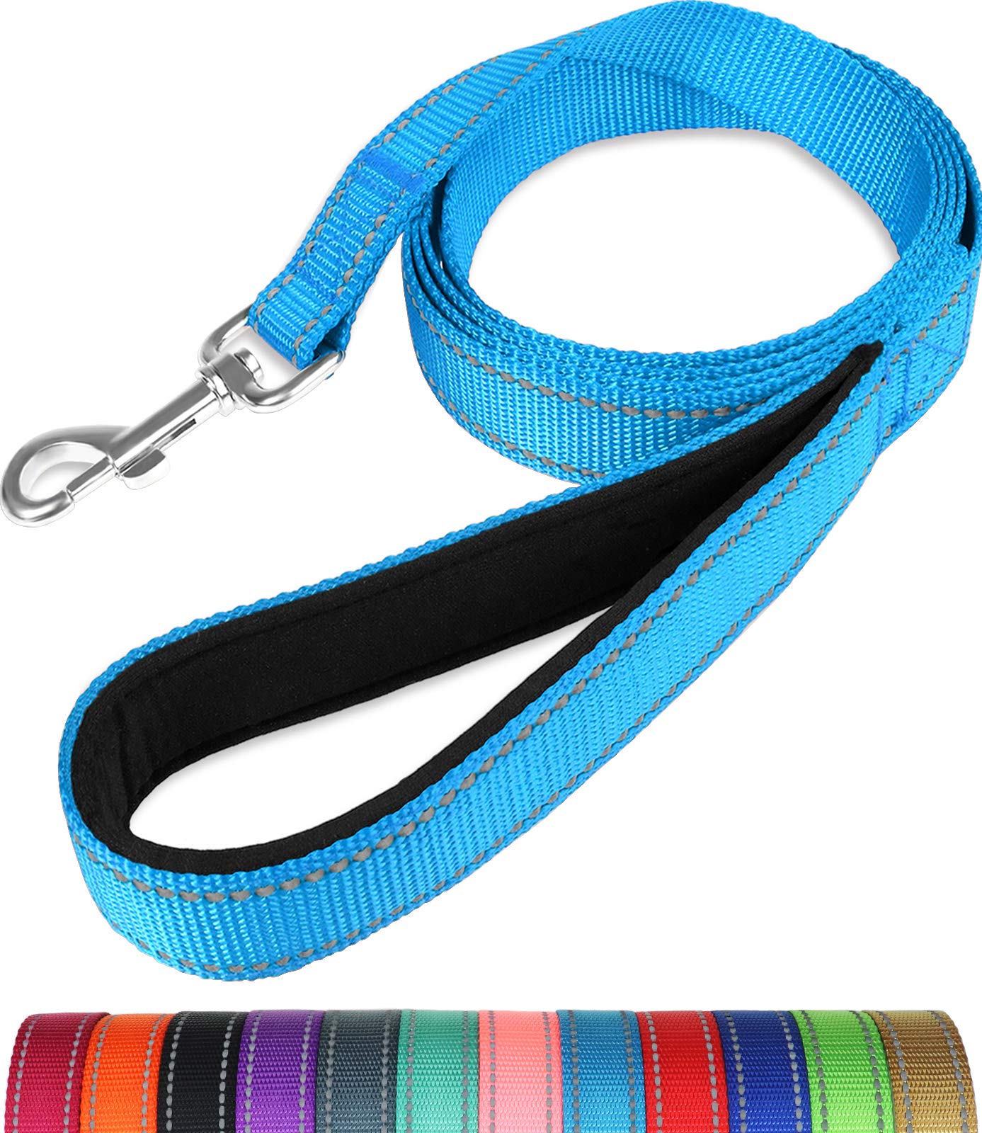 TagloryDog Leads for Medium Large Dogs | Double Sided Reflective | Soft Neoprene Padded Handle | 2.5 cm Wide by 120 cm Long | Sky Blue