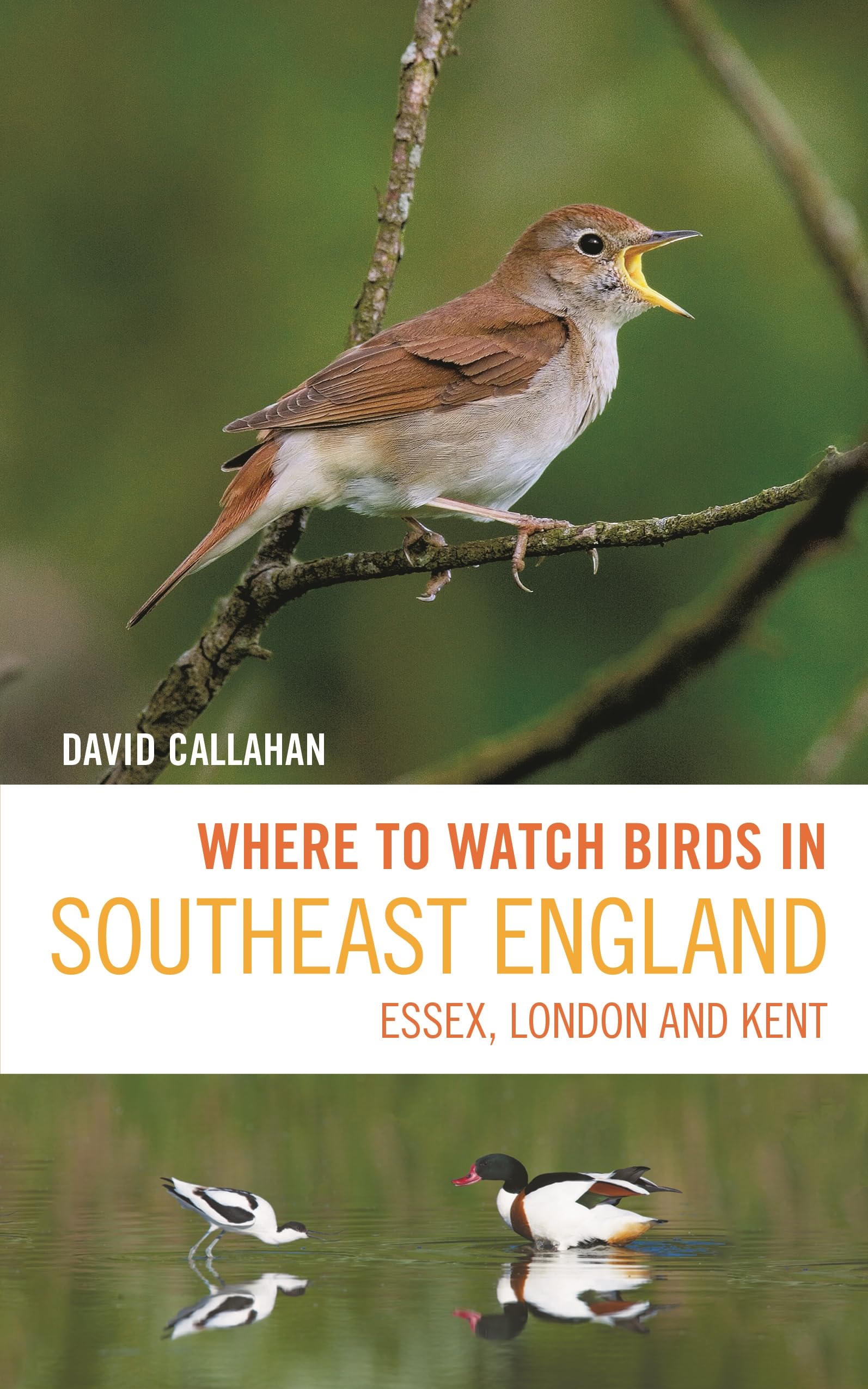Where to Watch Birds in Southeast England by David Callahan - 9781399403603