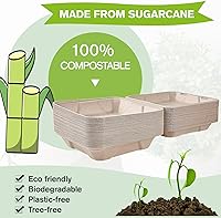 Vista 4 de ECOLipak Paquete de 50 recipientes con forma de ostra para llevar, recipientes para llevar comida 100% compostables y desechables, cajas para llevar