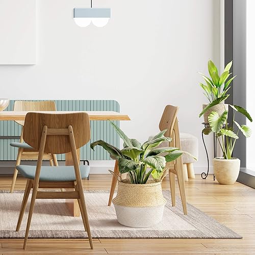 Miniatura 5 de Artera  Cesta de mimbre para el vientre, interior con forro de plástico y asas, maceta natural para higuera, planta de serpiente