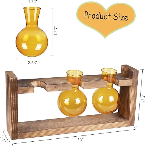 Miniatura 7 de Kingbuy - Florero de vidrio en forma de bulbo con soporte de madera maciza estilo retro, para plantas hidropónicas, decoración de jardín o boda