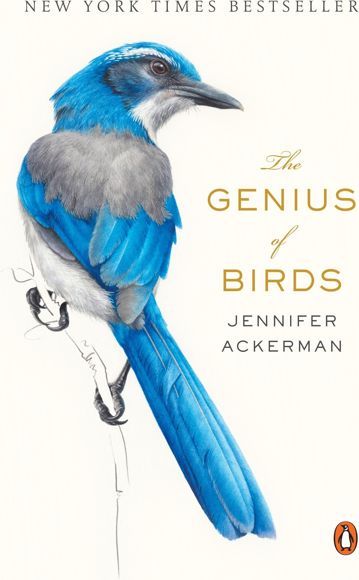 The Genius of Birds