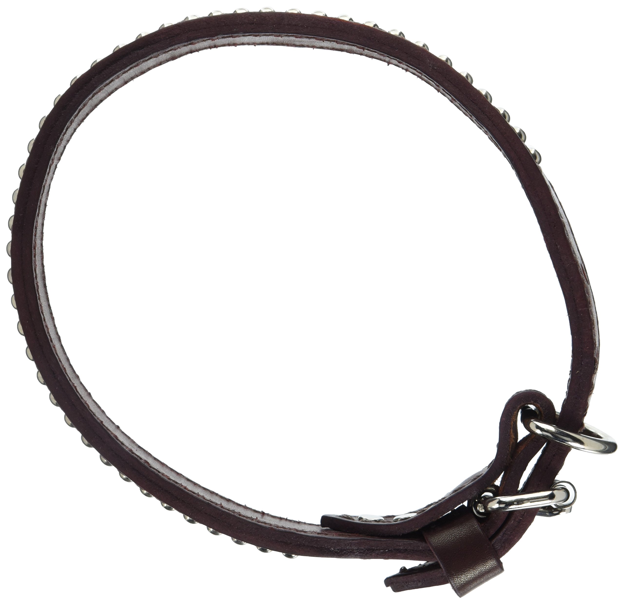 Collier chien cuir Latigo robuste à clous oblongs pour grand chien et molosse