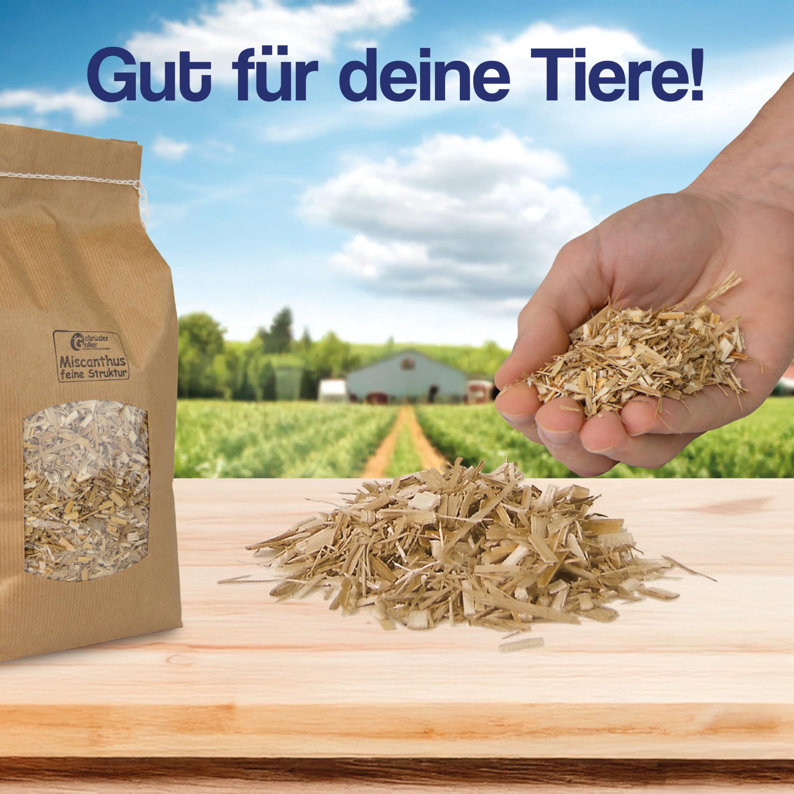 Bio Miscanthus Einstreu 980 Liter - Staubarm & Saugstark - Einstreu für Kleintiere wie Kaninchen, Meerschweinchen, Hamster - Kleintierstreu aus biologischem Anbau - 100% Natur