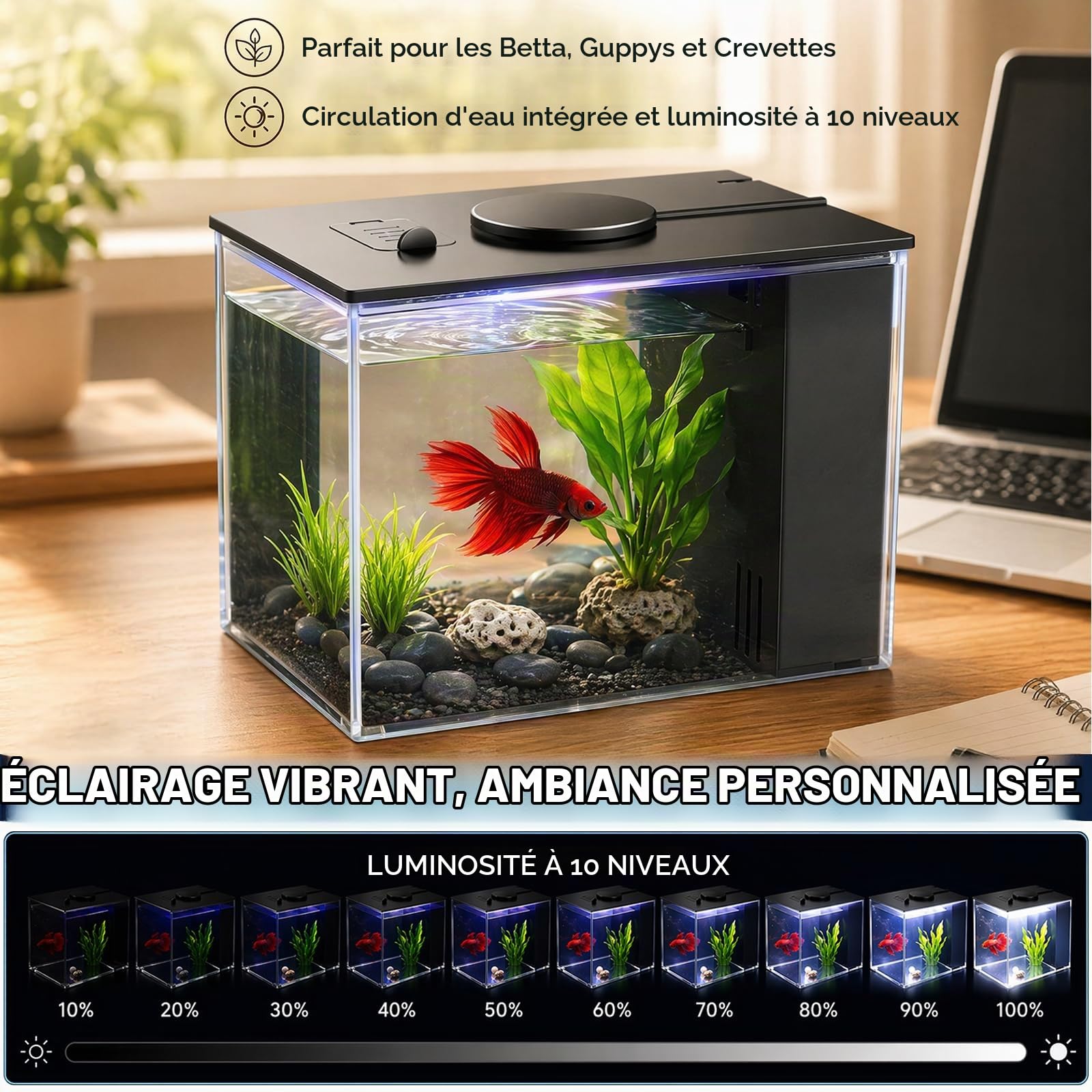 Kit de démarrage pour aquarium 3,7 l - Petit aquarium Betta en acrylique avec pompe filtrante et couvercle et éclairage LED - Pour petits poissons et crevettes