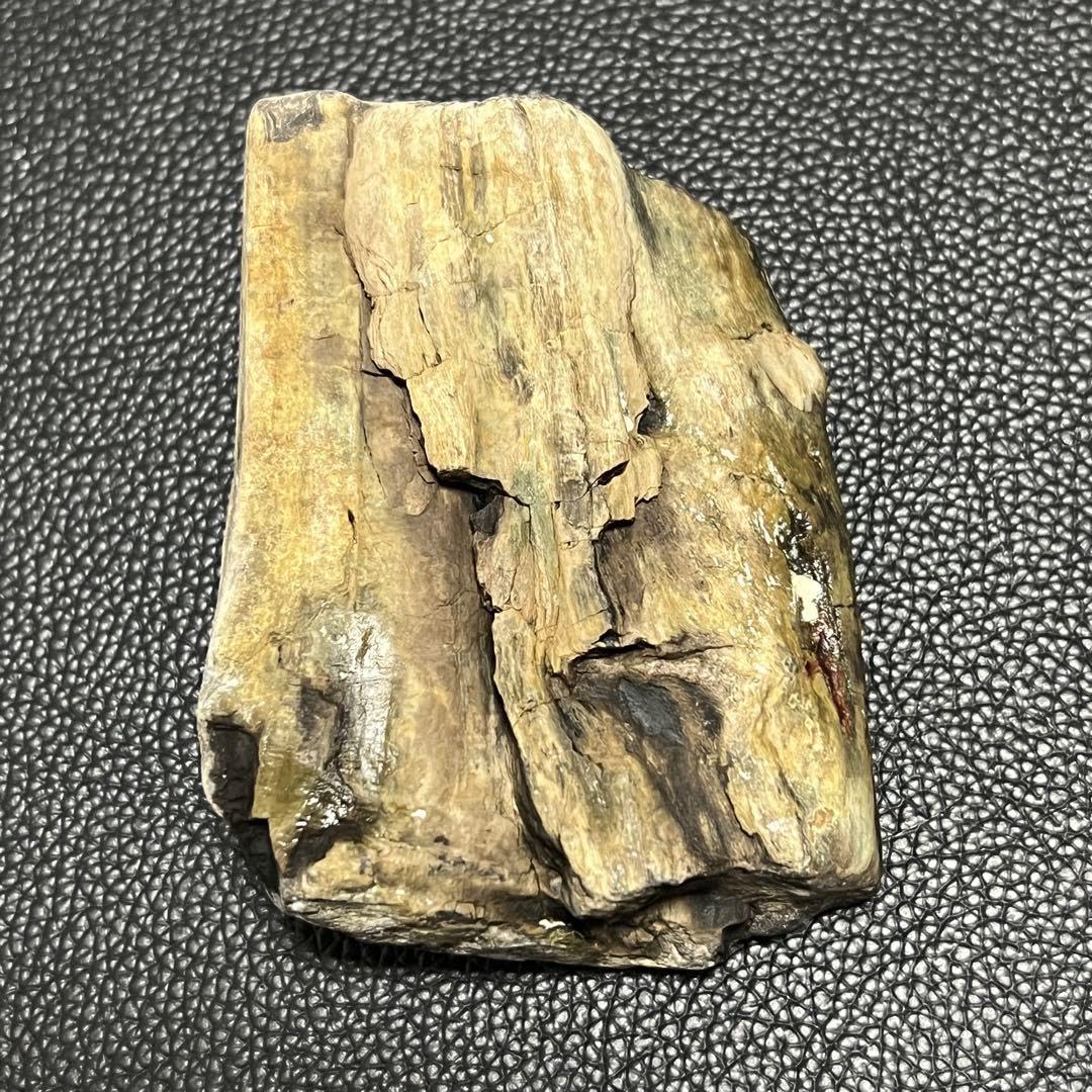 珪化木石 Amazon.co.jp: 珪化木 化石木 ペトリファイドウッド 福岡県産No.96