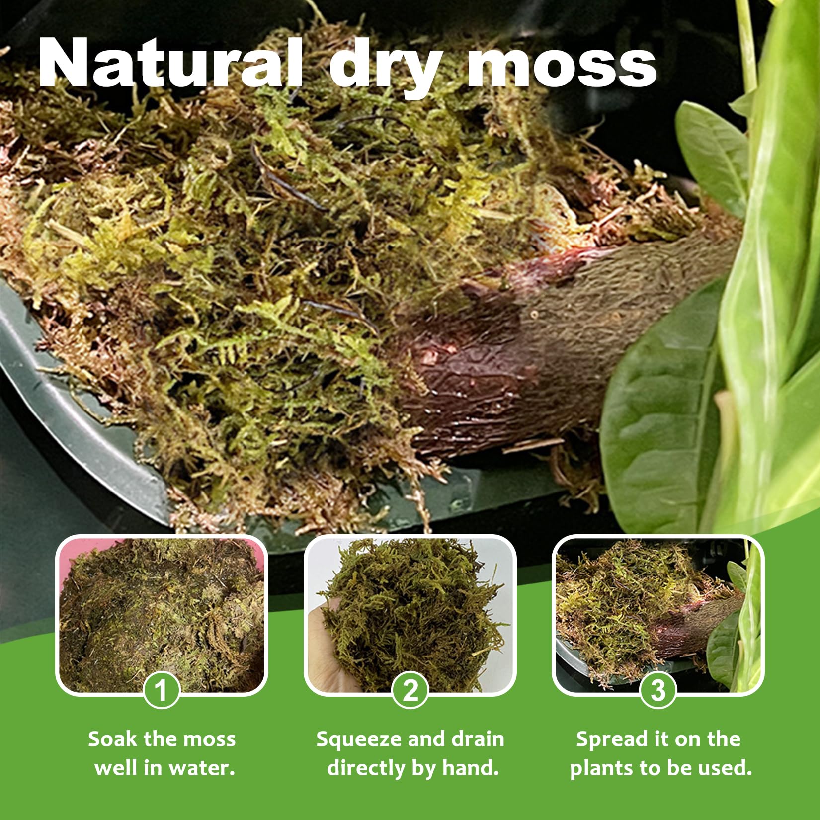 500g Sfagno per Piante Muschio di Sfagno Naturale Compresso per Le Piante del Vaso Dell'orchidea Che Coltivano La Pianta del Fiore Domestico