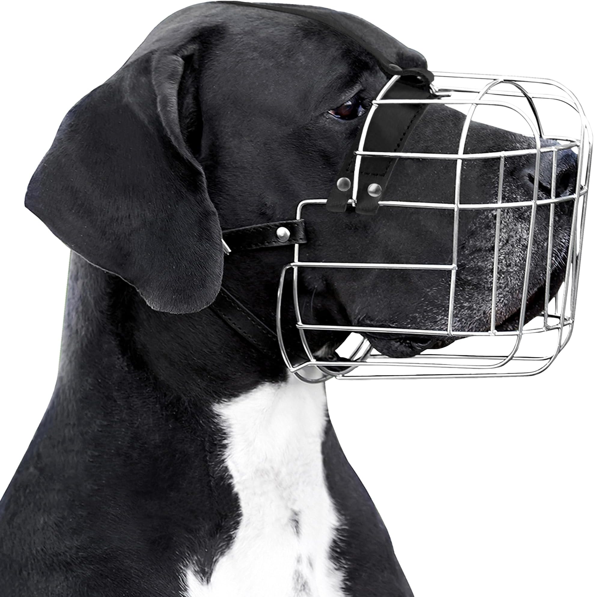 BronzeDog Metal Dog Muzzle Wire Basket Great Dane Mastiff Saint Bernard Breathable Mask with Adjustable Leather Straps Muzzles for Extra Large Dogs (XL)