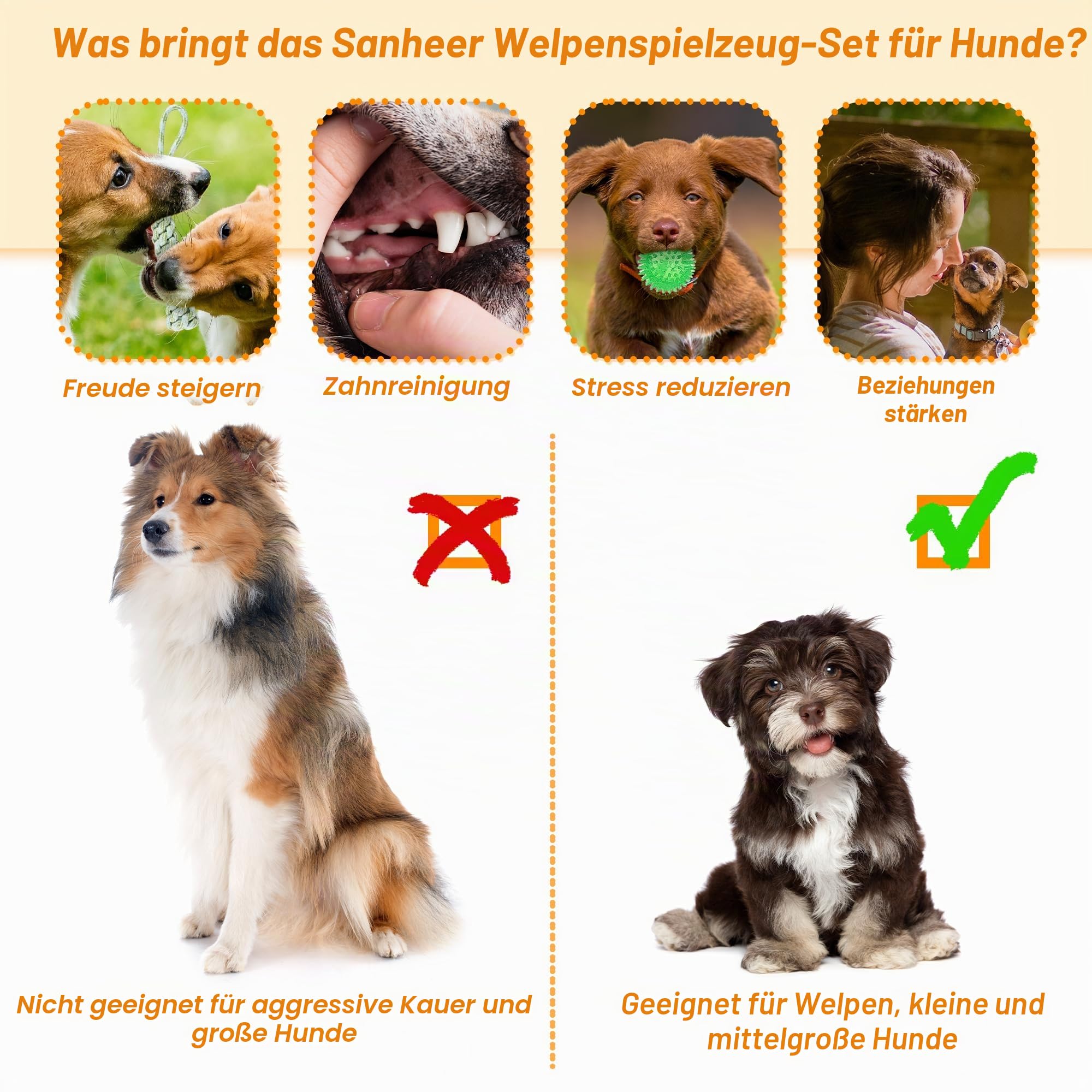 24-Stück Welpenspielzeug-Set, Welpenspielzeug zum Zahnen mit Aufbewahrungsbox, Hundespielzeug und quietschendes Hundespielzeug, Kauspielzeug für kleine und mittelgroße Hunde, zum Spielen