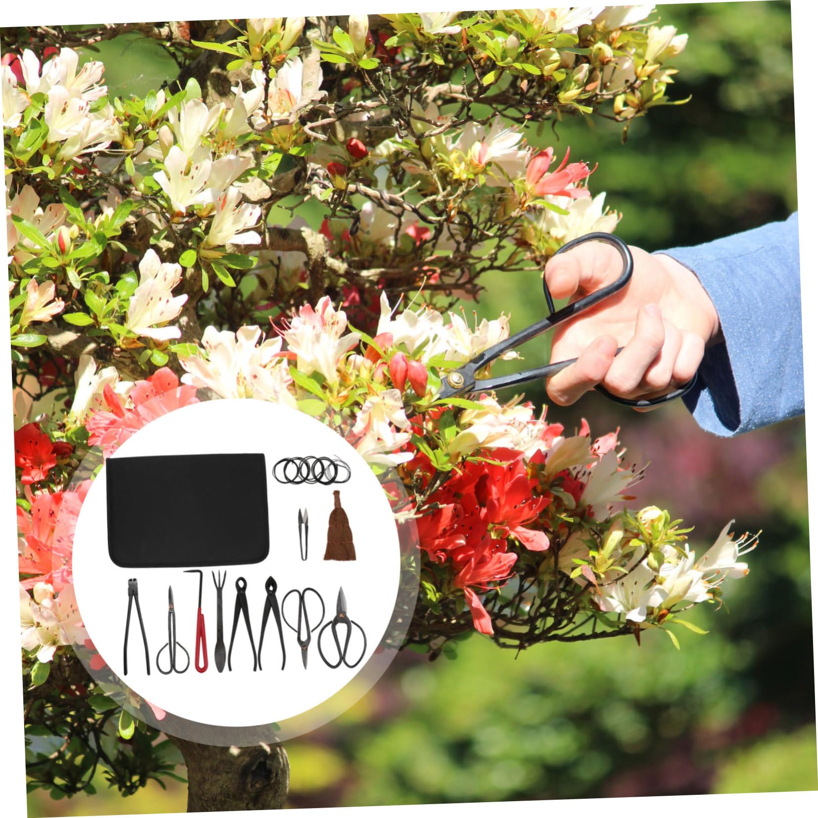 Forbici da Potatura per Giardinaggio Set 1 Pezzo in Acciaio | Nero, Borsa Inclusa, per Potatura Piante, Struttura Resistente Deformazione e Rottura