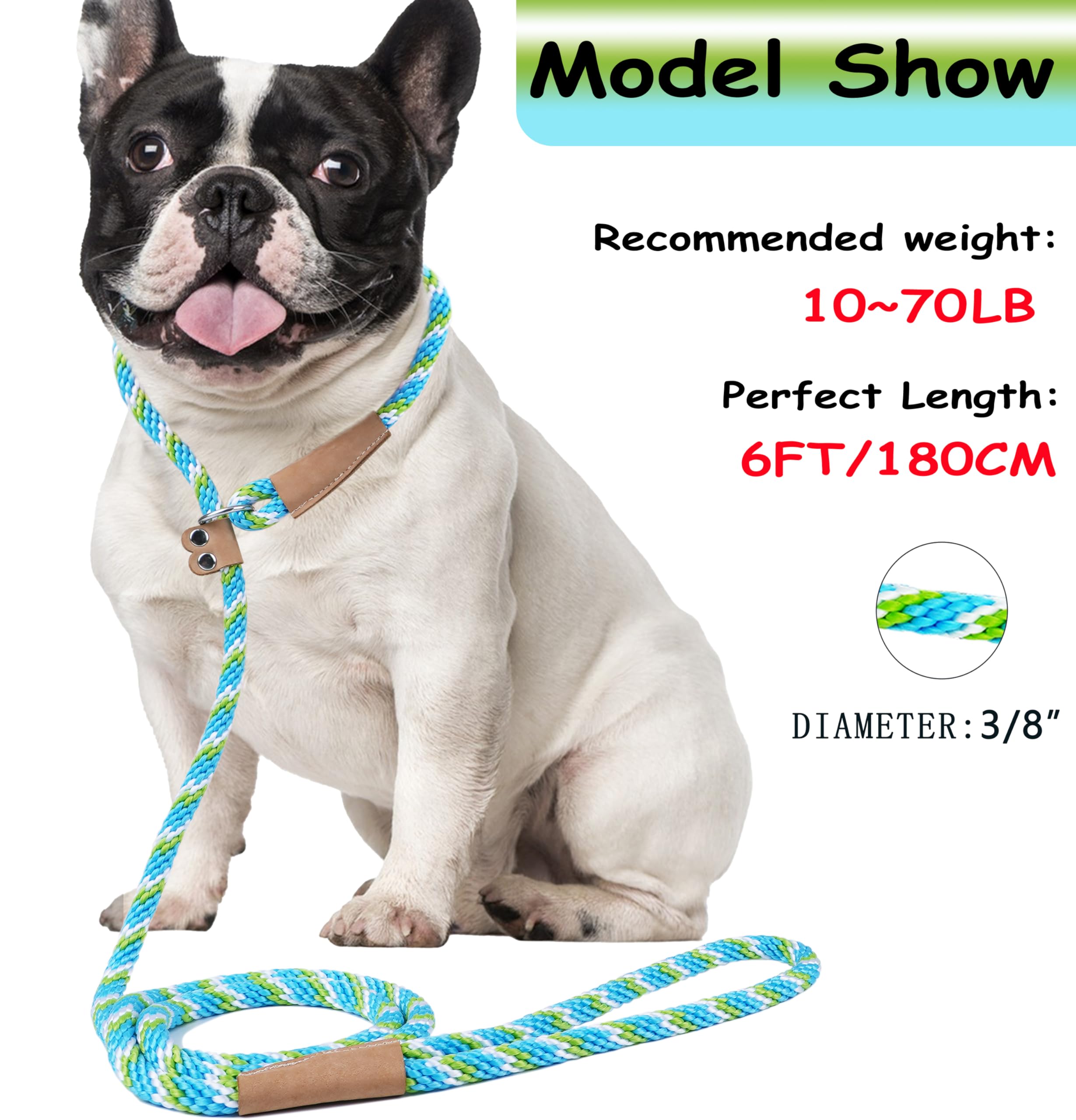 Slip Leads For Dogs Slip Lead Dog Leash Feet Dog Rope Leash