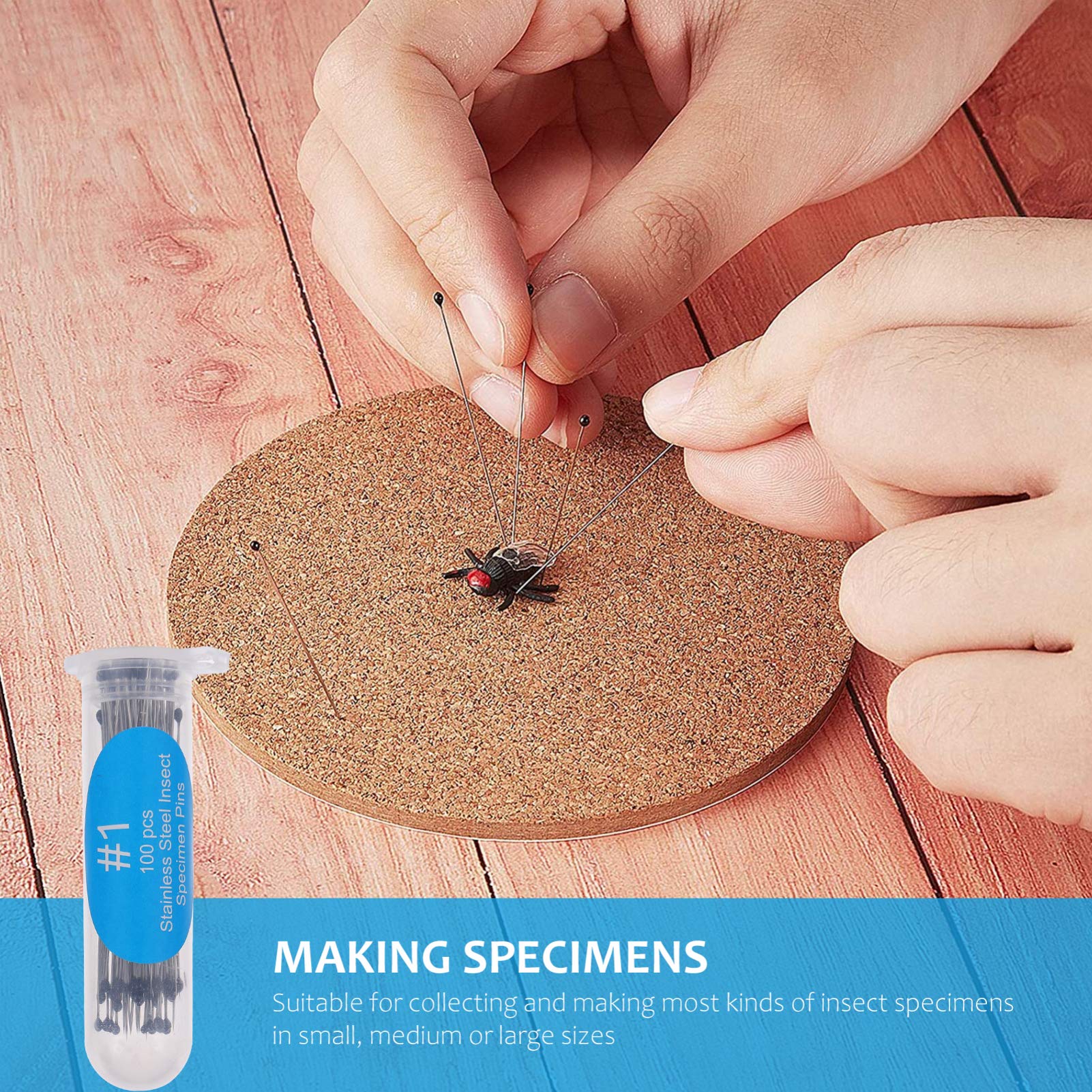 iplusmile 300 Stück Edelstahl Insekten Probe Entomologie Dissektion Schmetterling Sammlungen Nadeln für Die Schule 4X0. 06Cm