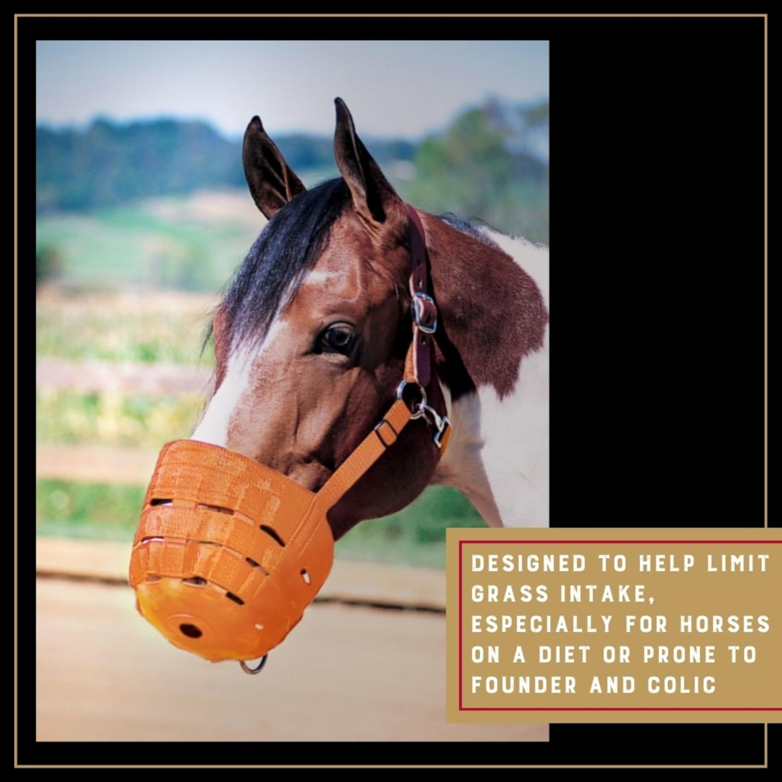 Weaver Leather LG GRAZING Bozal Unisex con Corona, Caballo BO, Naranja Brillante, L