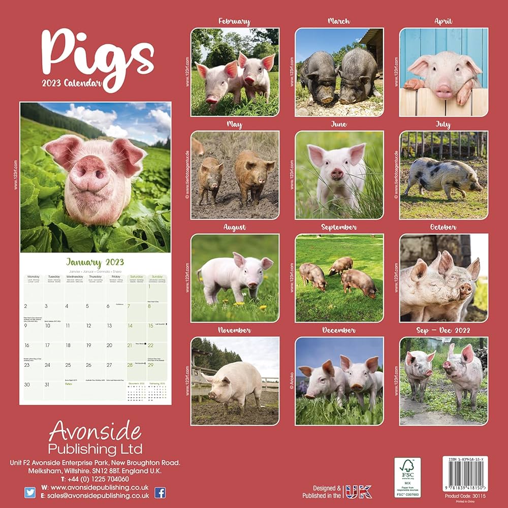 Pig Calendar - Cute Animal Calendar - Calendars 2022 - 2023