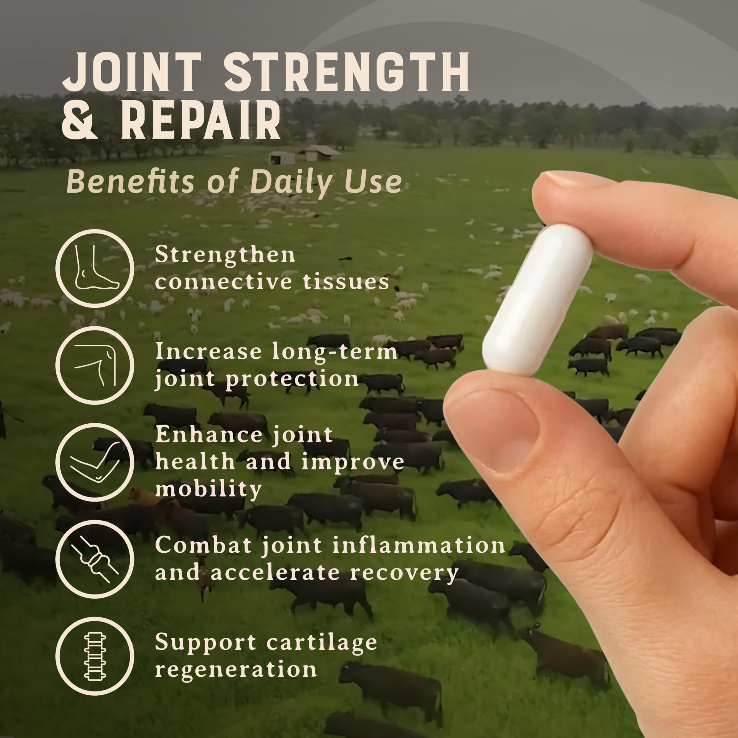 HEART & SOIL Joint Support Supplement, 180 Capsules — Amazon image 3