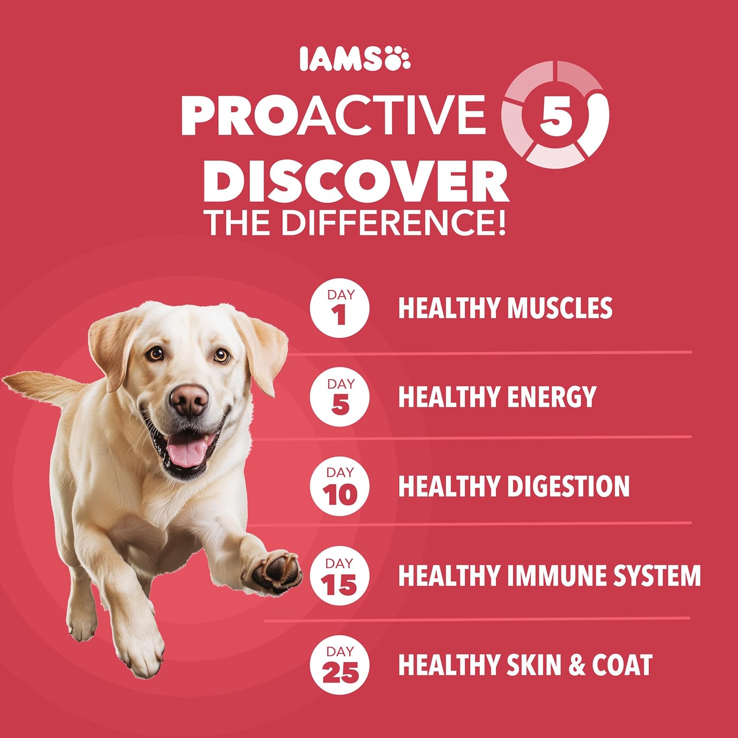 IAMS Proactive Health Large Breed Dry Dog Food, Adult Dry Dog Food for Large Breeds, Lamb & Rice Recipe, 40 lb. Bag
