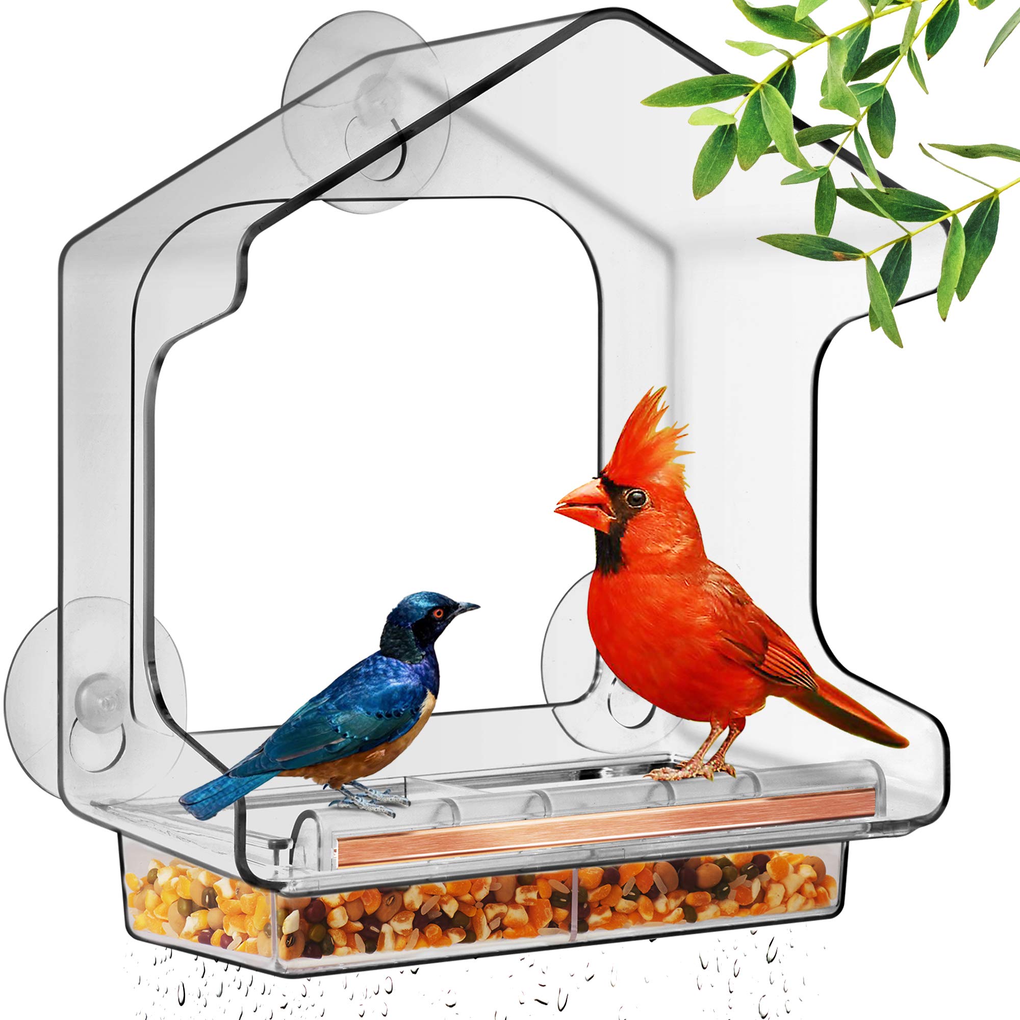 LUJIIAnti-Breakage Window Bird Feeder with Strongest Suction Cups, All One Piece No Glue, Lift-Out Tray with Drainage Holes, Tall Enough for Larger Birds Like Cardinal or Mocking Birds, Clear