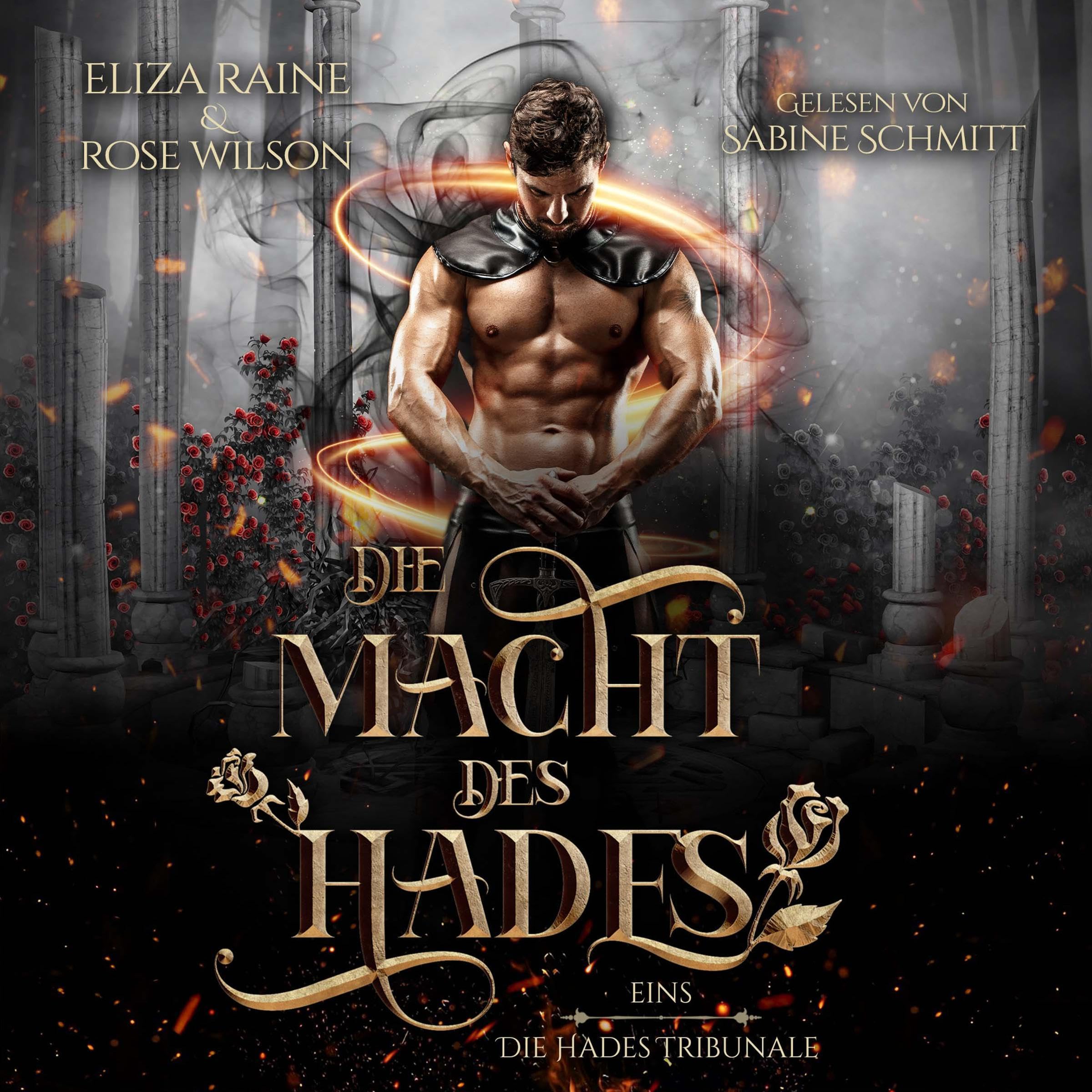 Cover art for Die Macht des Hades: Die Hades Tribunale 1
