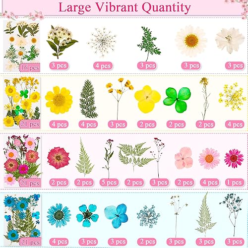 Miniatura 10 de Flores secas para resina, hojas de flores secas prensadas a granel con pinzas para bricolaje, tarjetas de arte de uñas, álbumes de recortes,