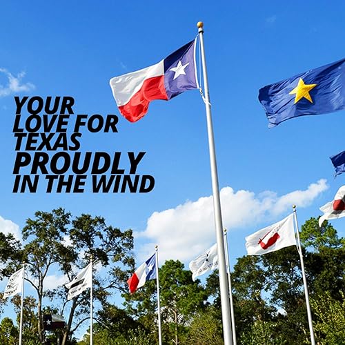 Miniatura 4 de Bandera de los estados de Texas y California Texas