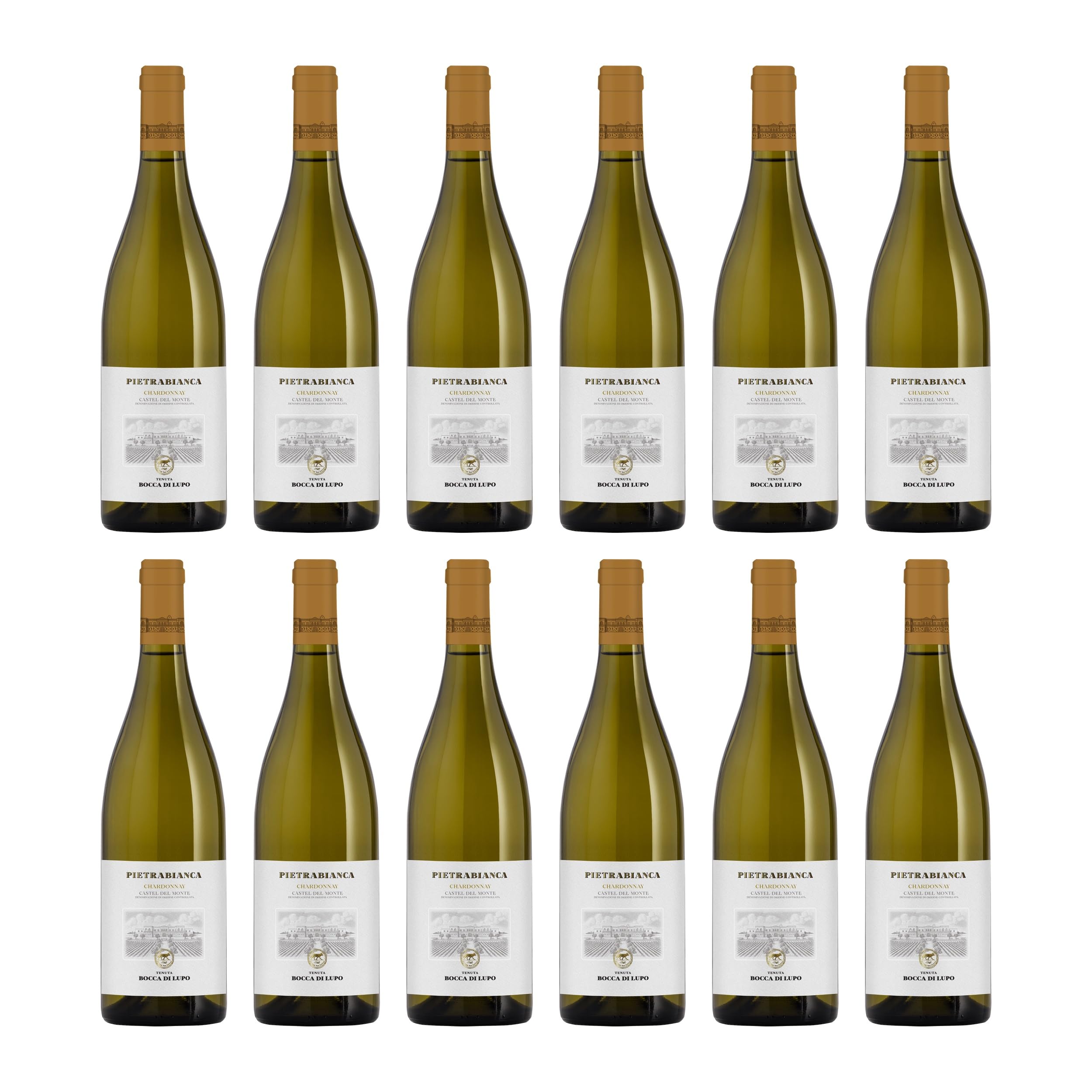 Bocca di Lupo Pietrabianca Castel del Monte DOC trocken Weisswein Italien BIO inkl. Feinwert E-book (12 x 0.75 l)