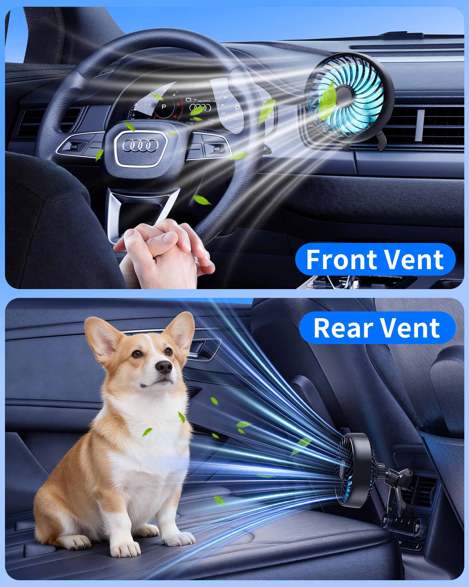 View 5