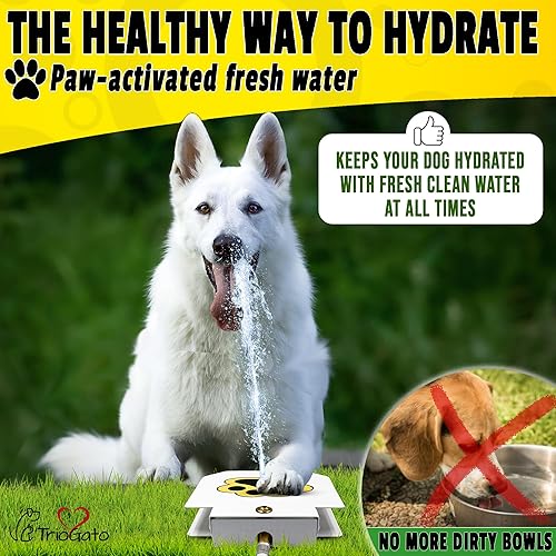Fuente de agua para perros al aire libre, con patas de aspersor activadas, dispensador de mascotas potable, proporciona agua fresca, resistente,