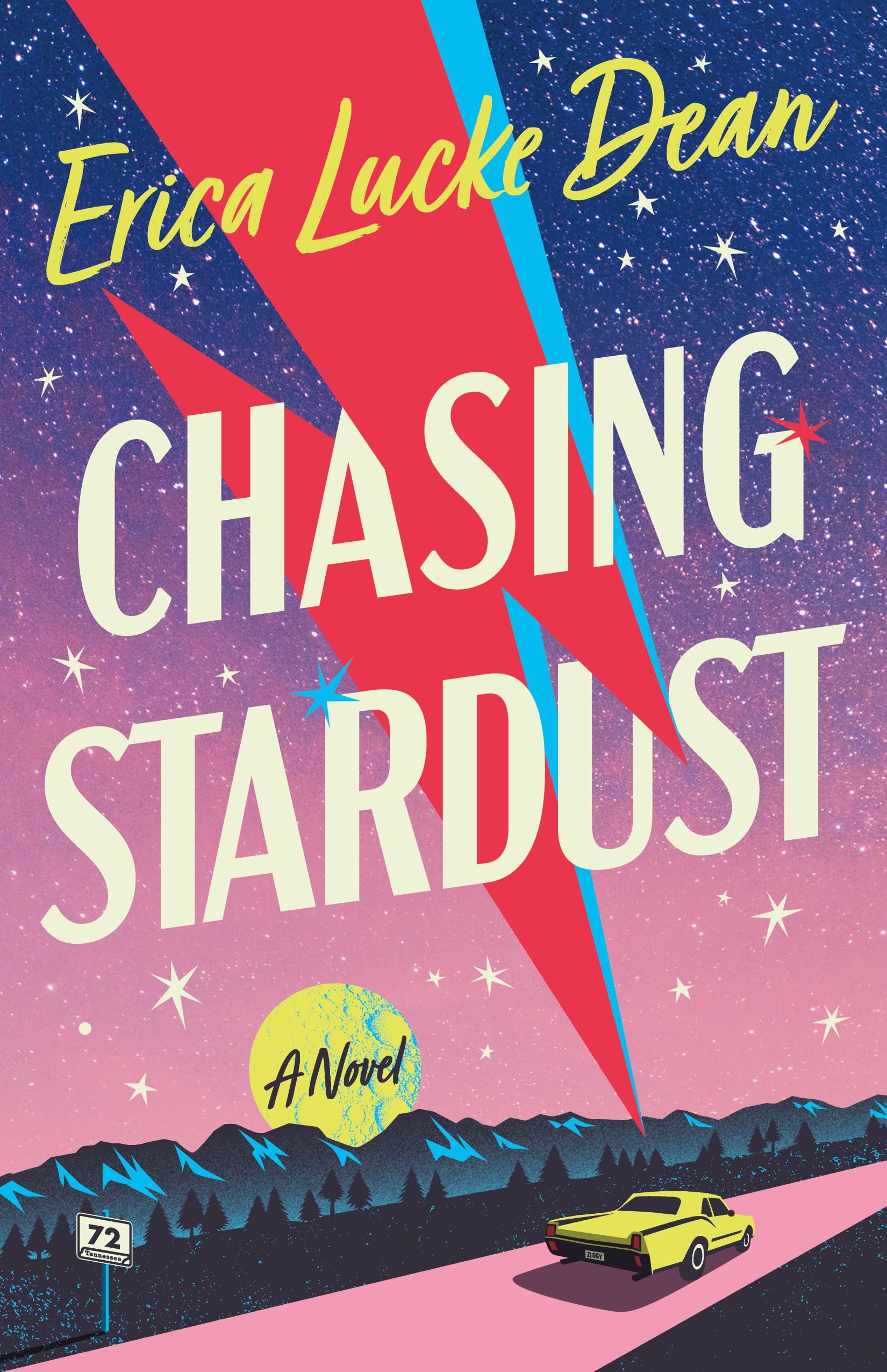 Chasing Stardust: A Novel