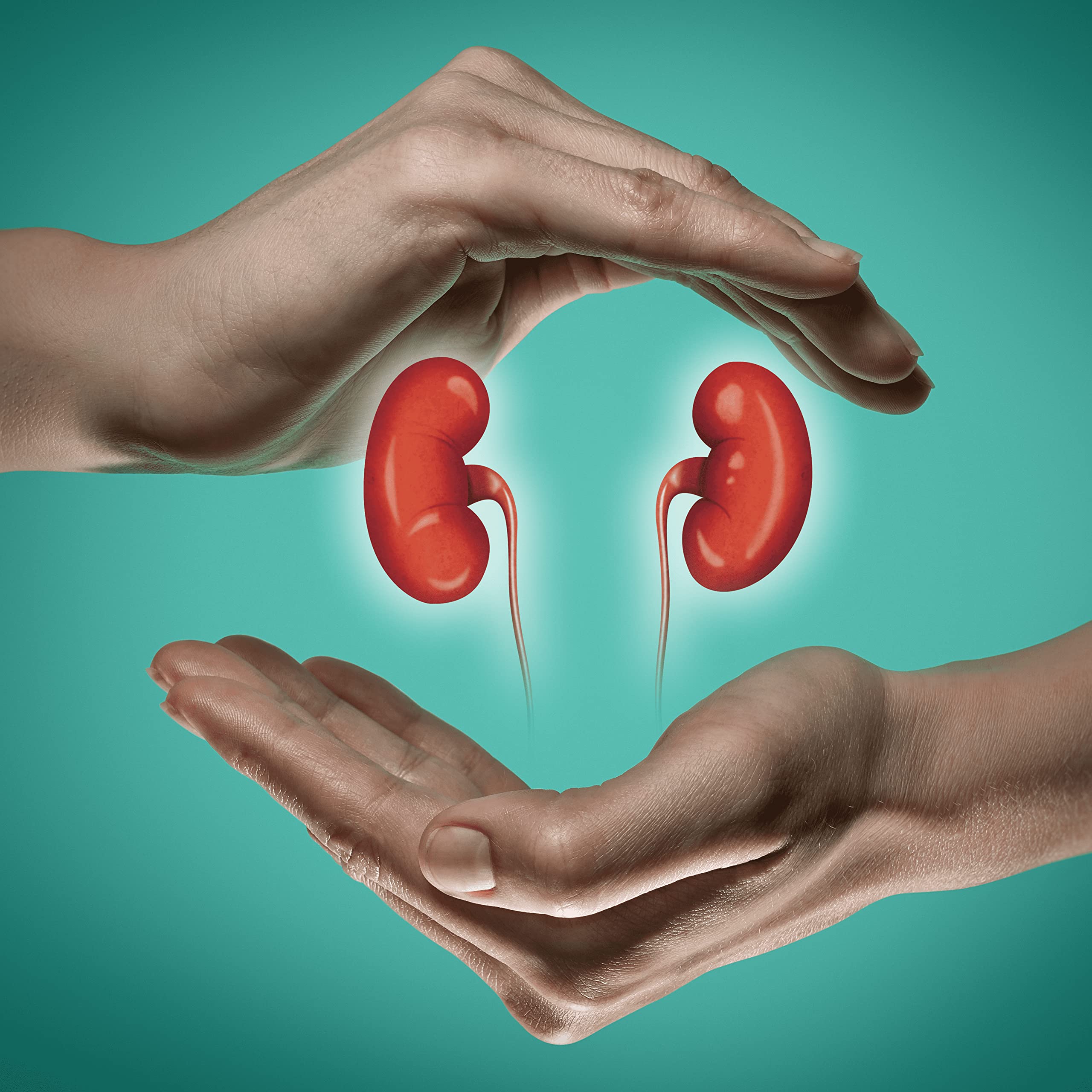 Svetical | Integratore che aiuta a prevenire la formazione e facilita l'espulsione dei Calcoli Renali | Con Spaccapietra, Mannosio e Cranberry | 30 Cpr