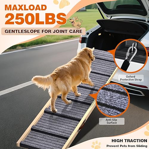 Miniatura 9 de TNELTUEB Rampa para perros pequeños, 32.6 pulgadas de largo y 11.8 pulgadas de ancho, rampa portátil plegable de madera para mascotas, ajustable de